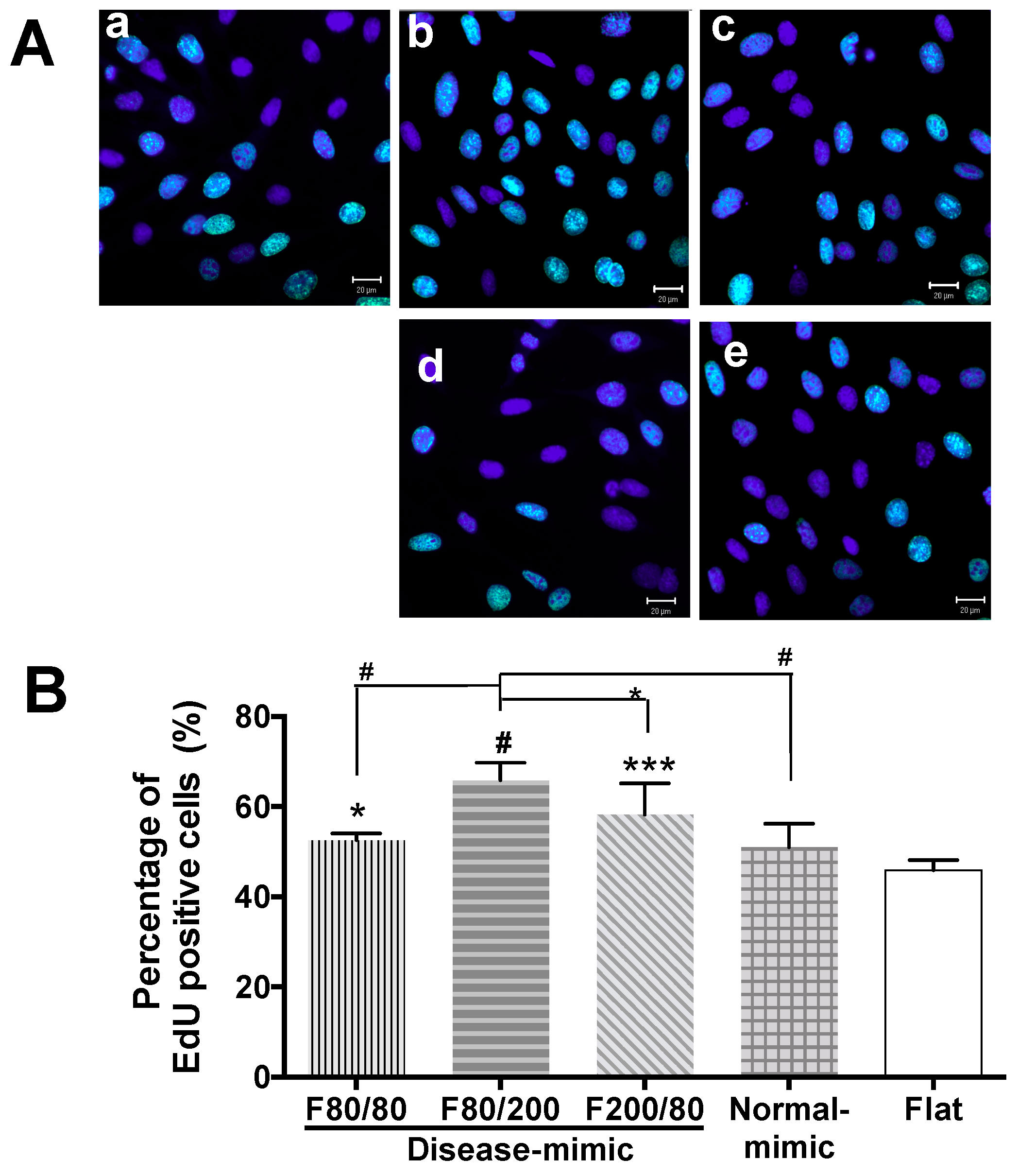 Ijms 20 05349 g002 Ijms 20 05349 g002