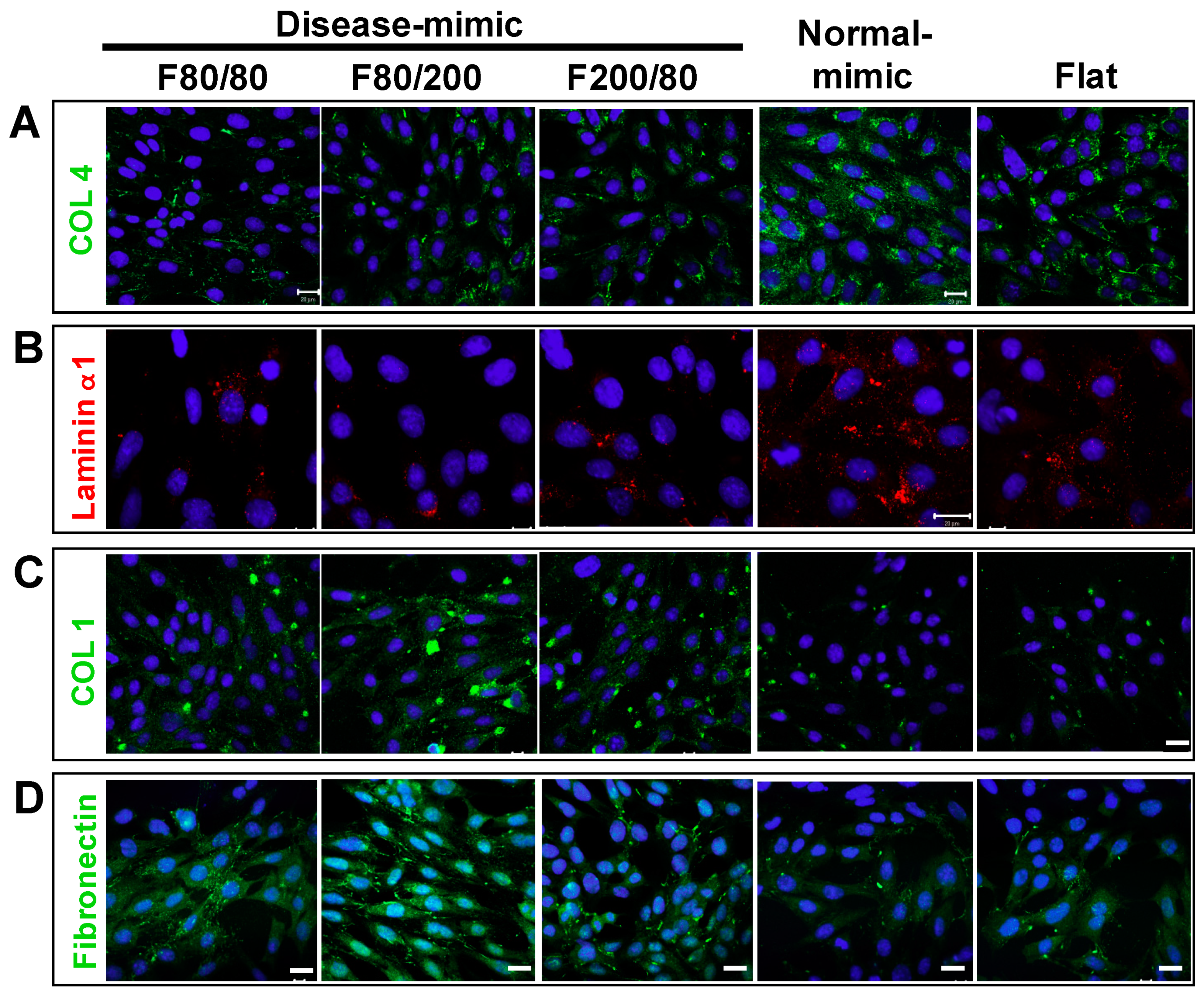 Ijms 20 05349 g003 Ijms 20 05349 g003