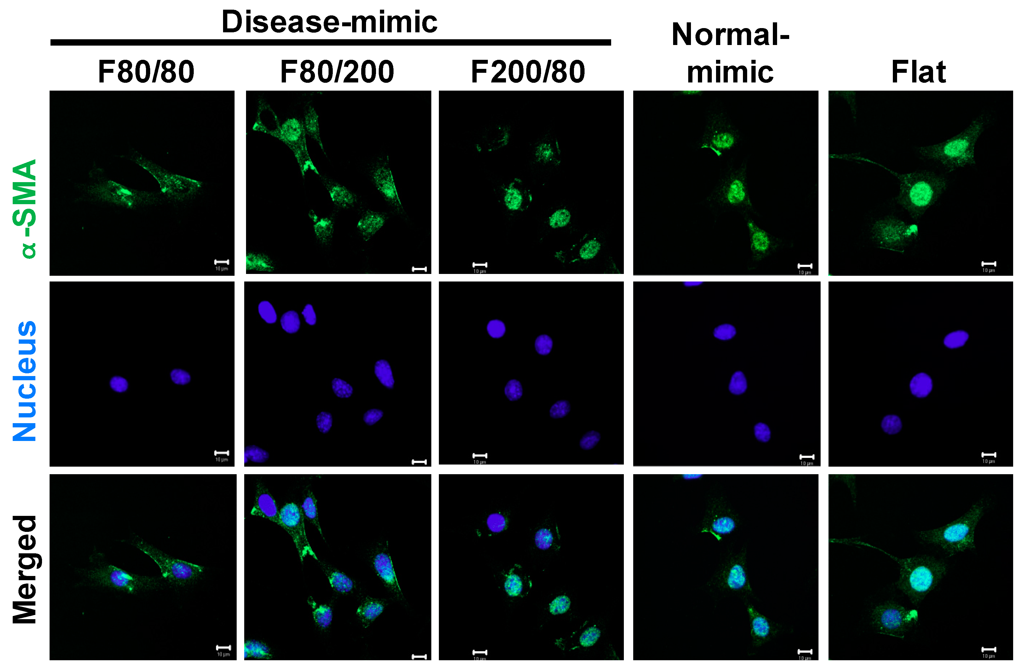 Ijms 20 05349 g005 Ijms 20 05349 g005