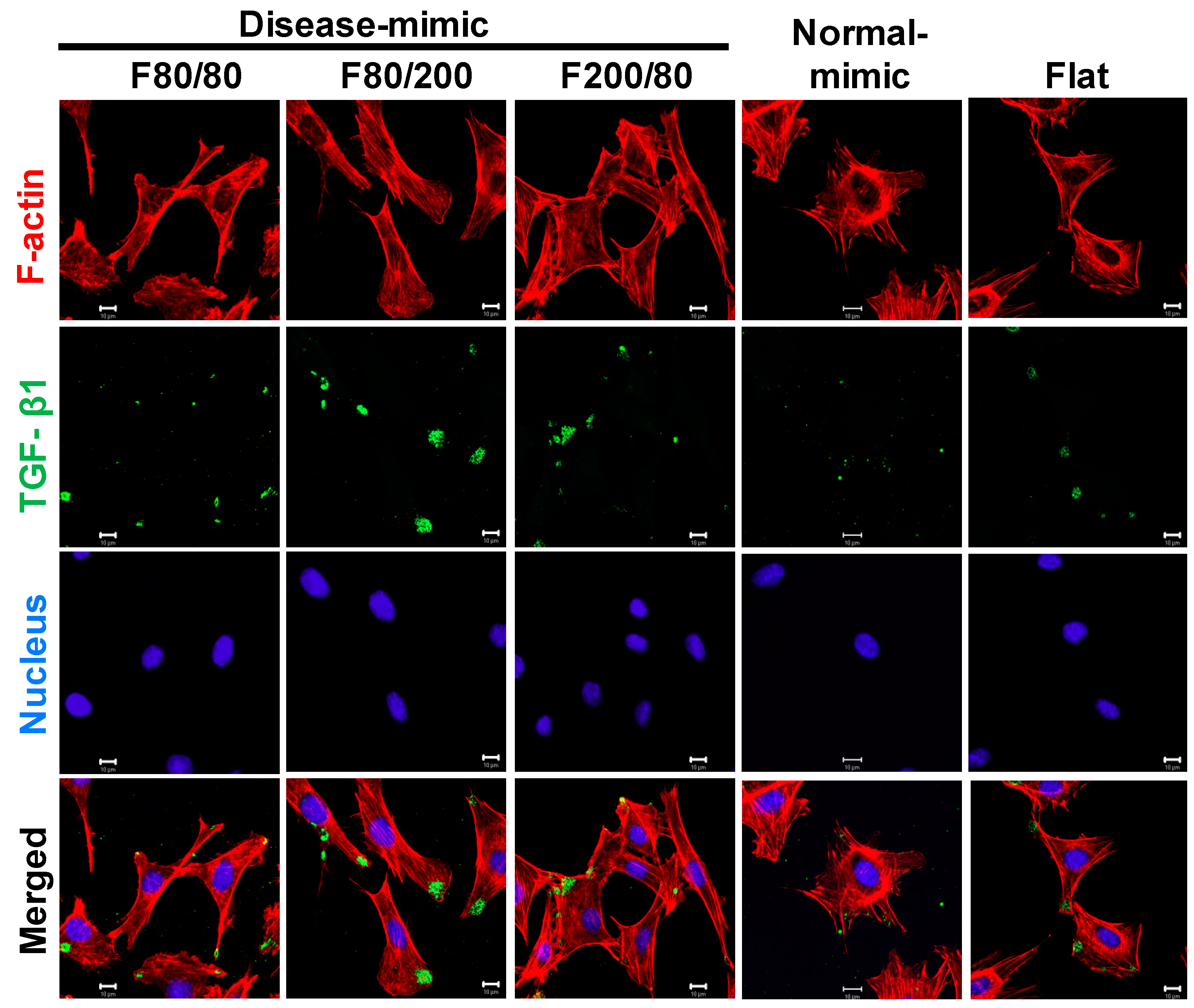 Ijms 20 05349 g006 Ijms 20 05349 g006