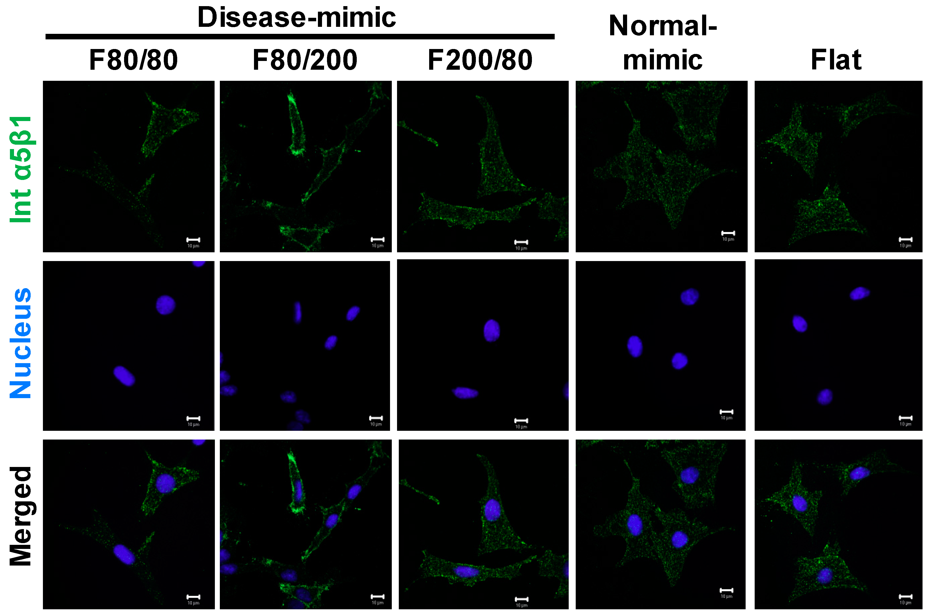 Ijms 20 05349 g007 Ijms 20 05349 g007