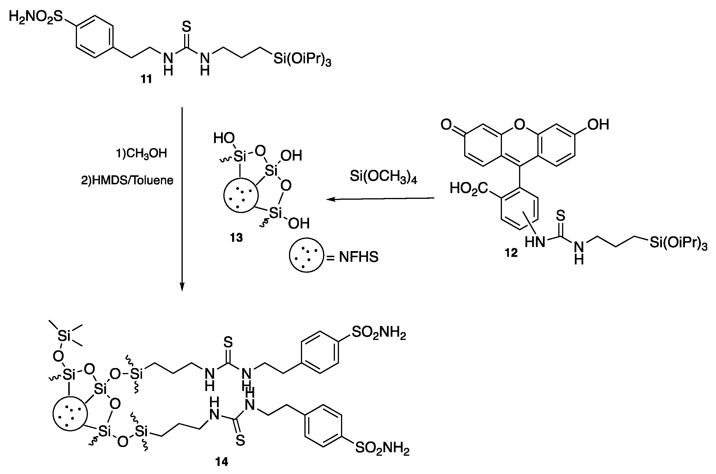 Ijms 20 05352 sch003