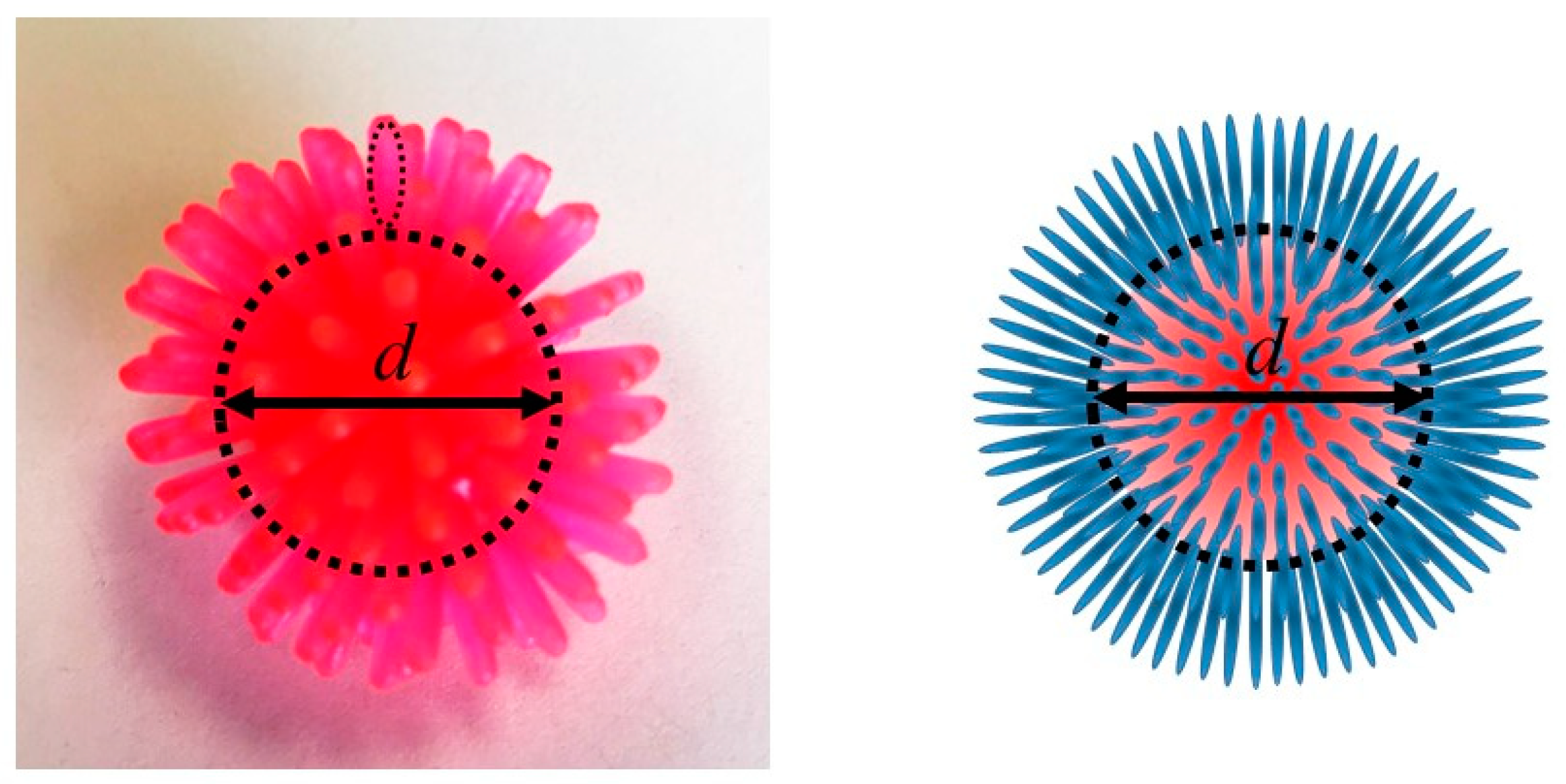 Ijms 20 05354 g004 Ijms 20 05354 g004