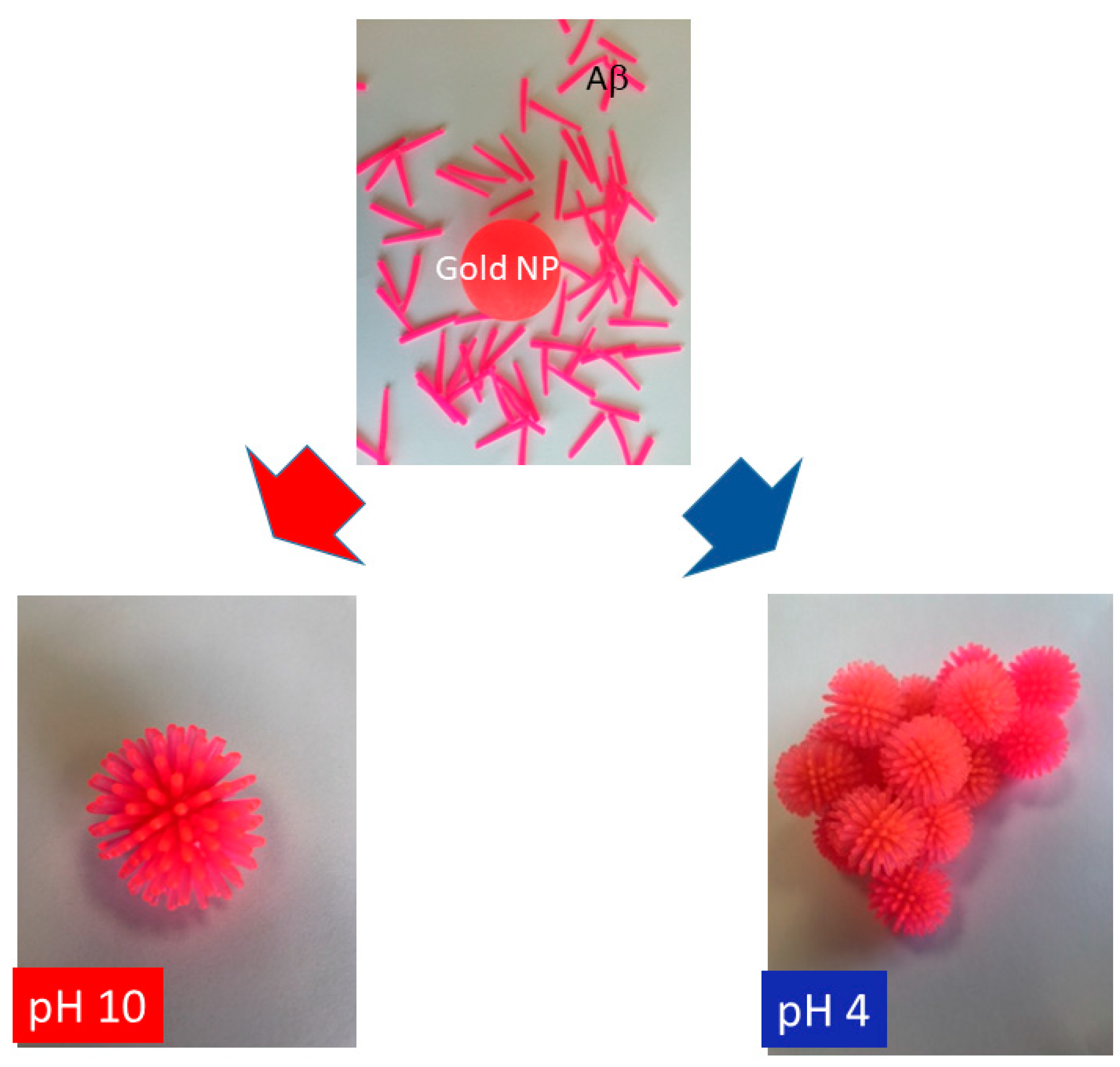 Ijms 20 05354 g006 Ijms 20 05354 g006