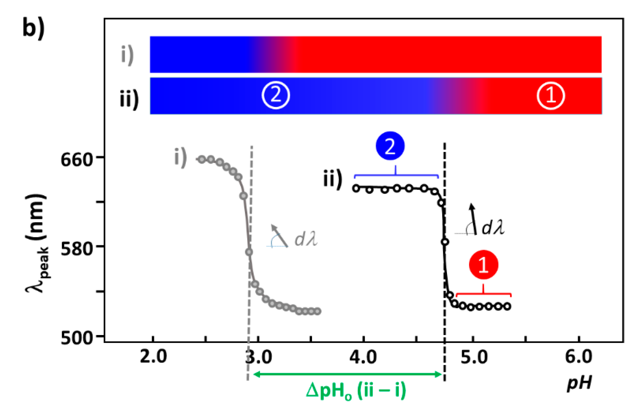 Ijms 20 05354 g012b Ijms 20 05354 g012b