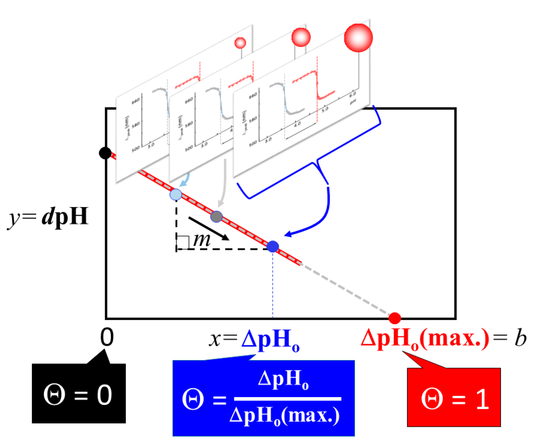 Ijms 20 05354 g013 Ijms 20 05354 g013