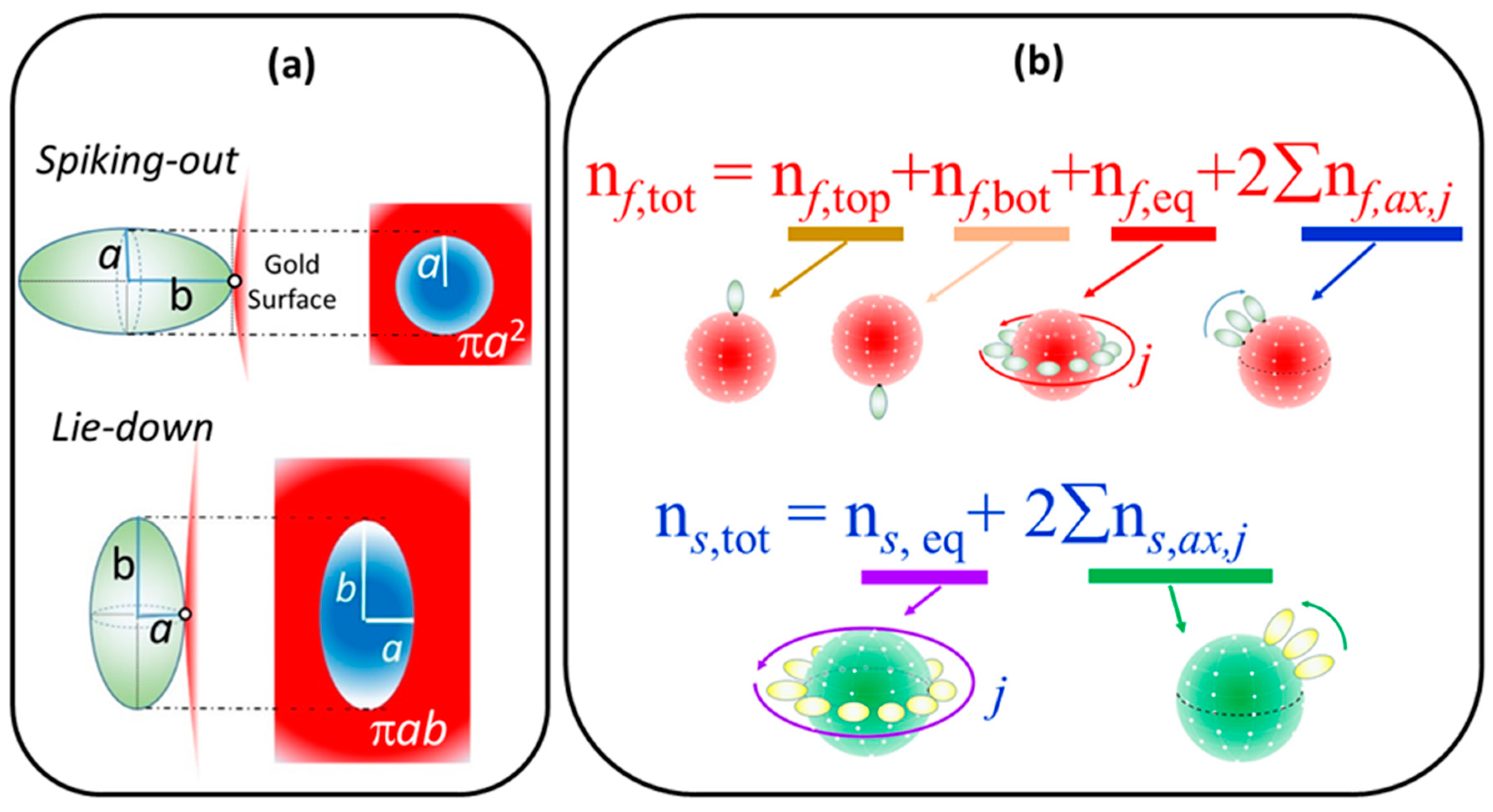 Ijms 20 05354 g014 Ijms 20 05354 g014