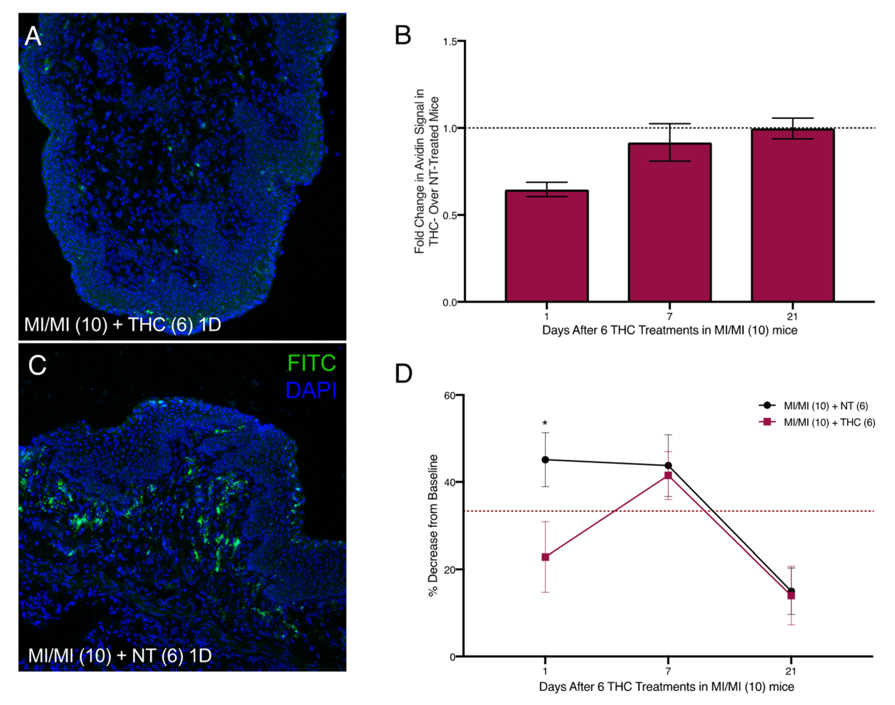 Ijms 20 05361 g005 Ijms 20 05361 g005