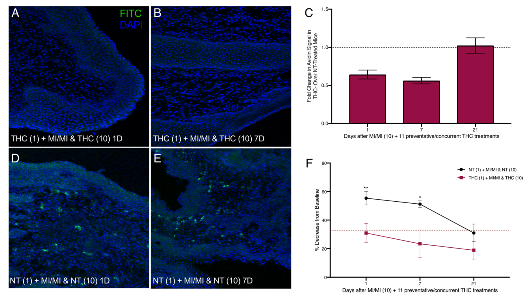 Ijms 20 05361 g006 Ijms 20 05361 g006