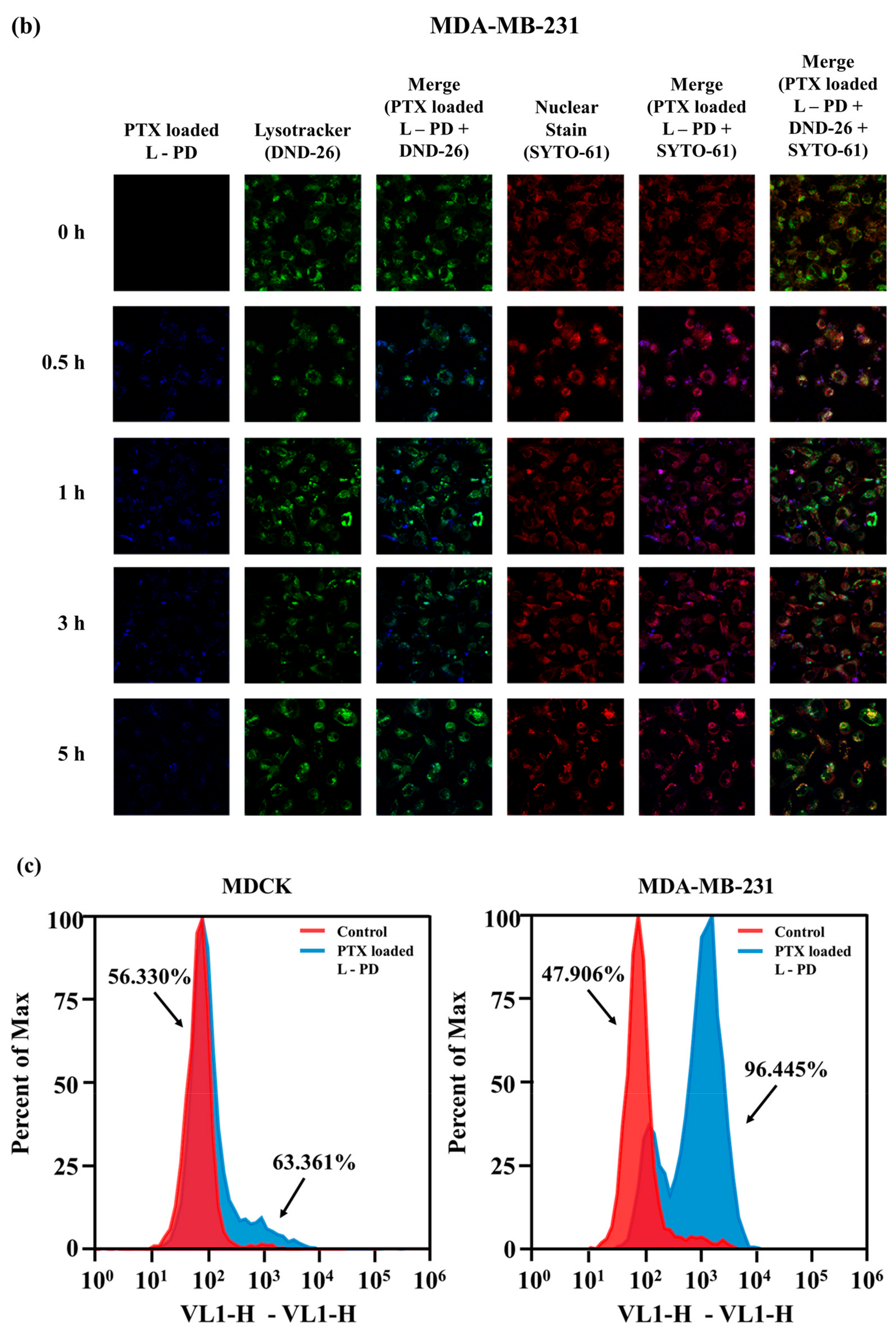 Ijms 20 05368 g005b Ijms 20 05368 g005b