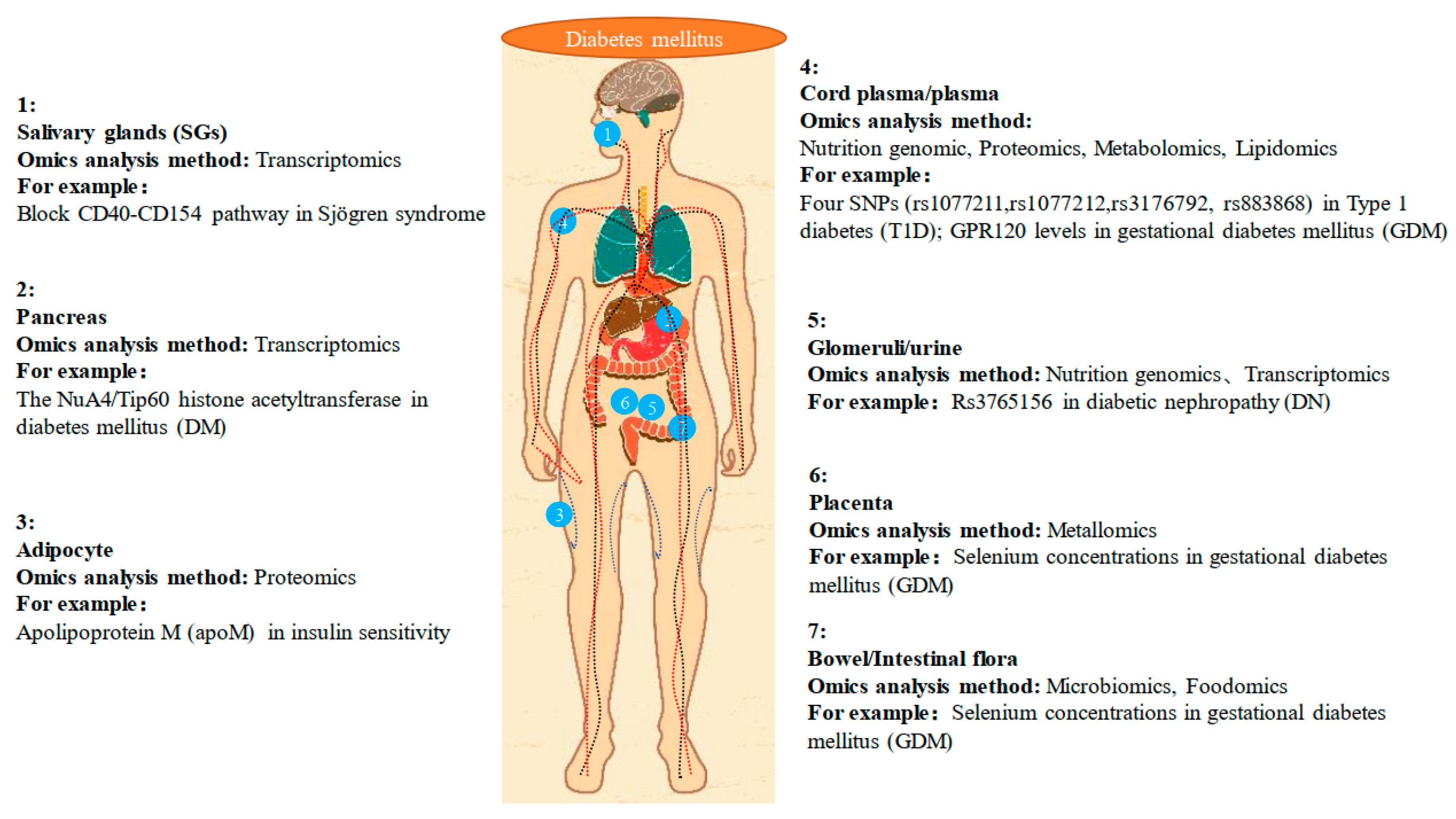 Ijms 20 05375 g002 Ijms 20 05375 g002