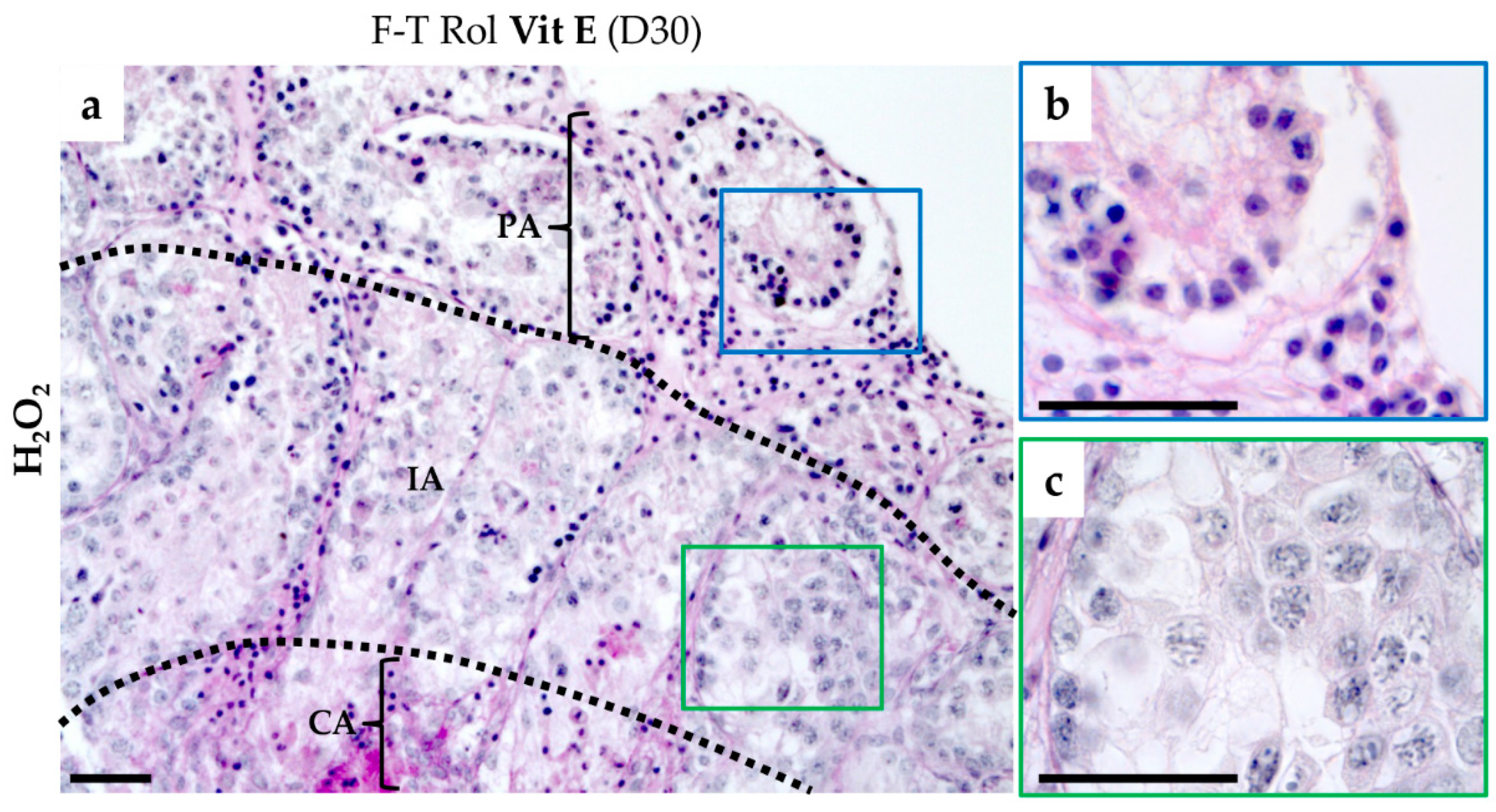 Ijms 20 05380 g003 Ijms 20 05380 g003