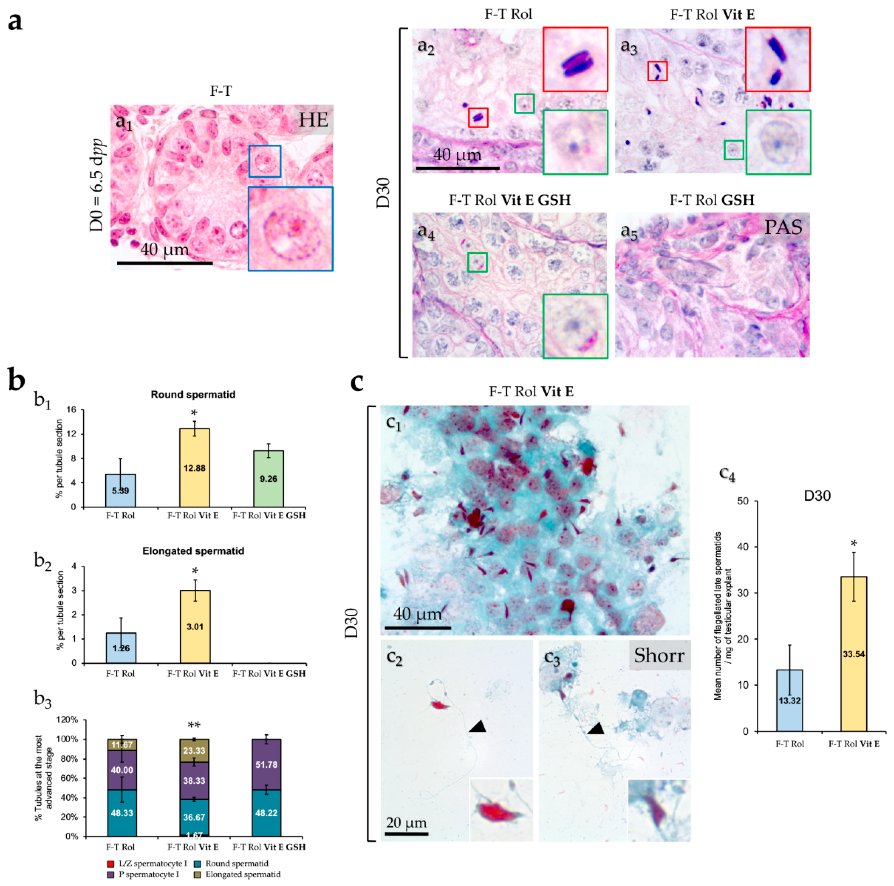 Ijms 20 05380 g006 Ijms 20 05380 g006