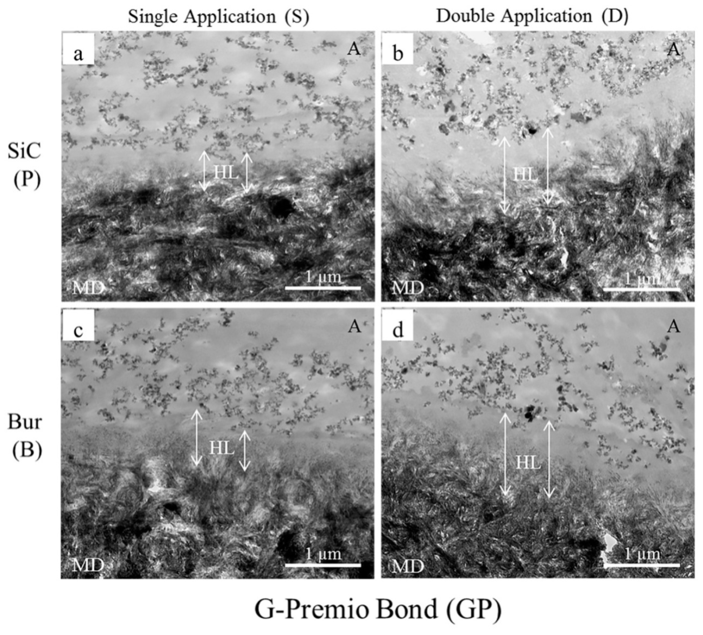 Ijms 20 05381 g001 Ijms 20 05381 g001