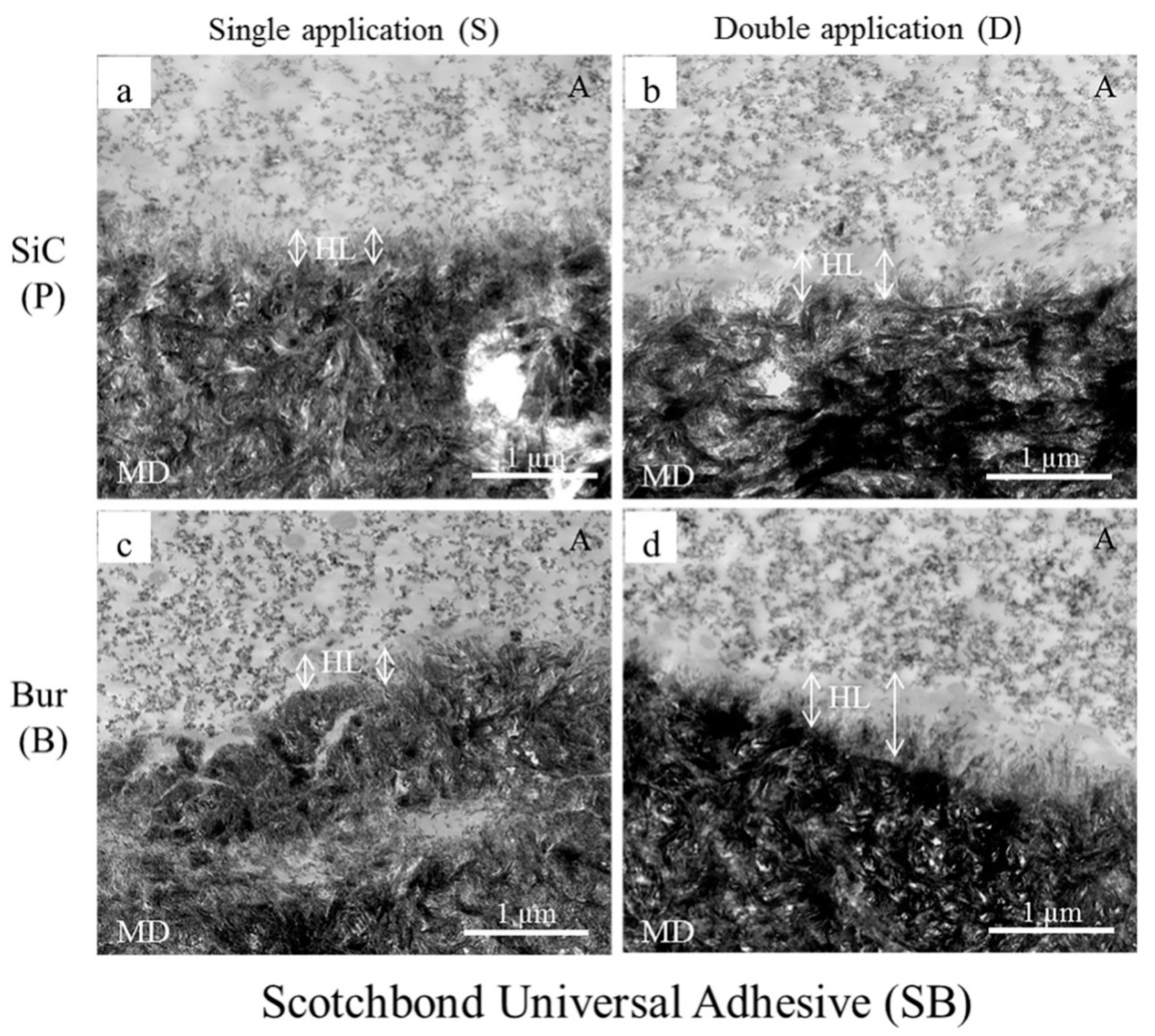 Ijms 20 05381 g002 Ijms 20 05381 g002