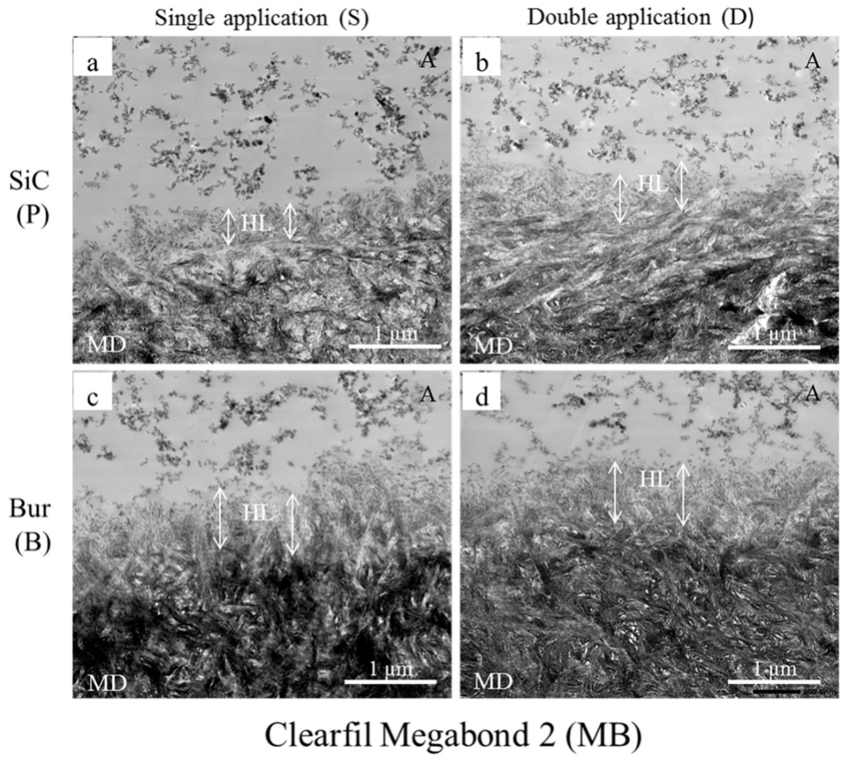 Ijms 20 05381 g003 Ijms 20 05381 g003