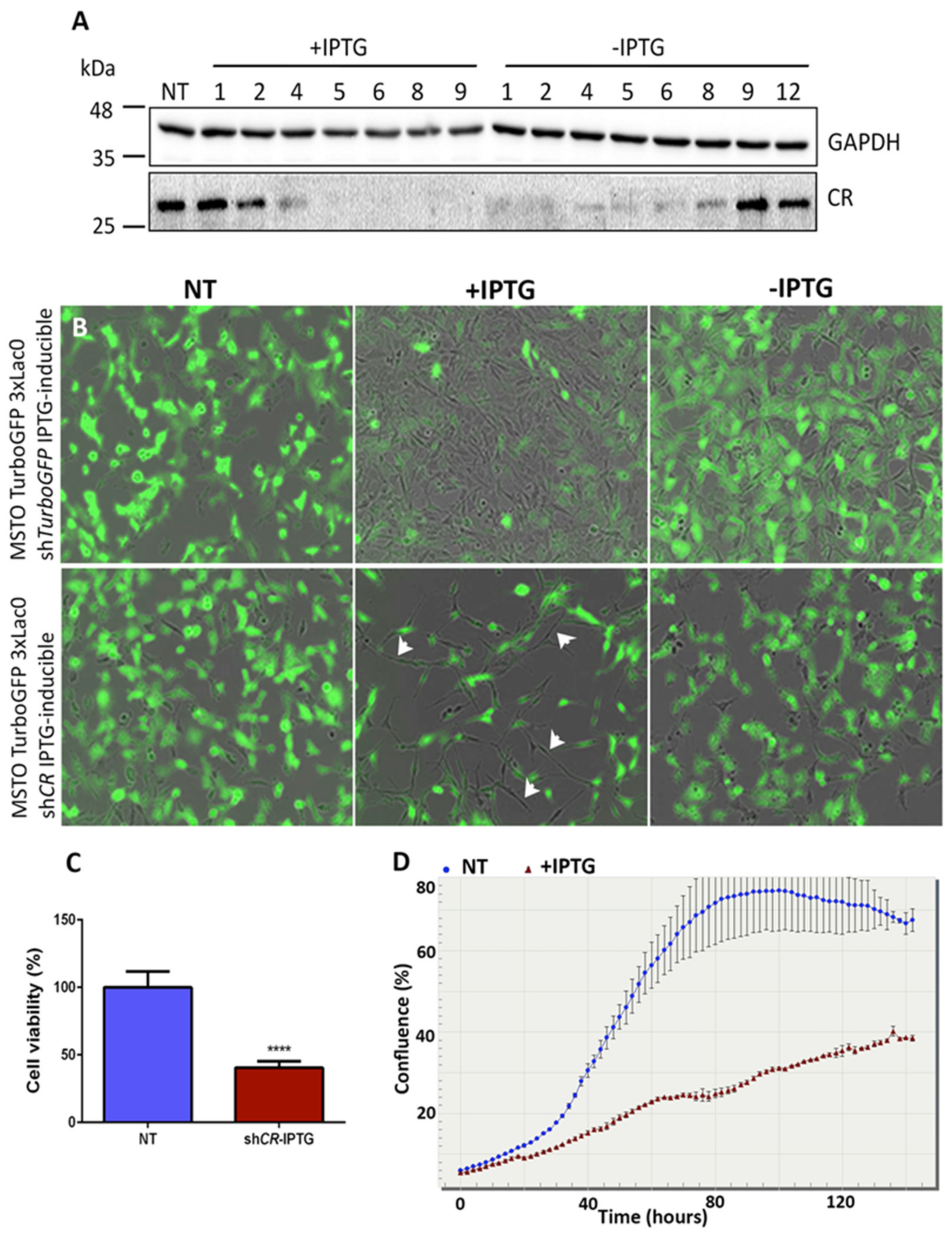Ijms 20 05391 g001 Ijms 20 05391 g001
