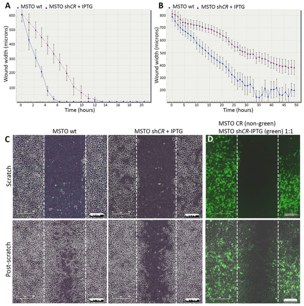 Ijms 20 05391 g002 Ijms 20 05391 g002