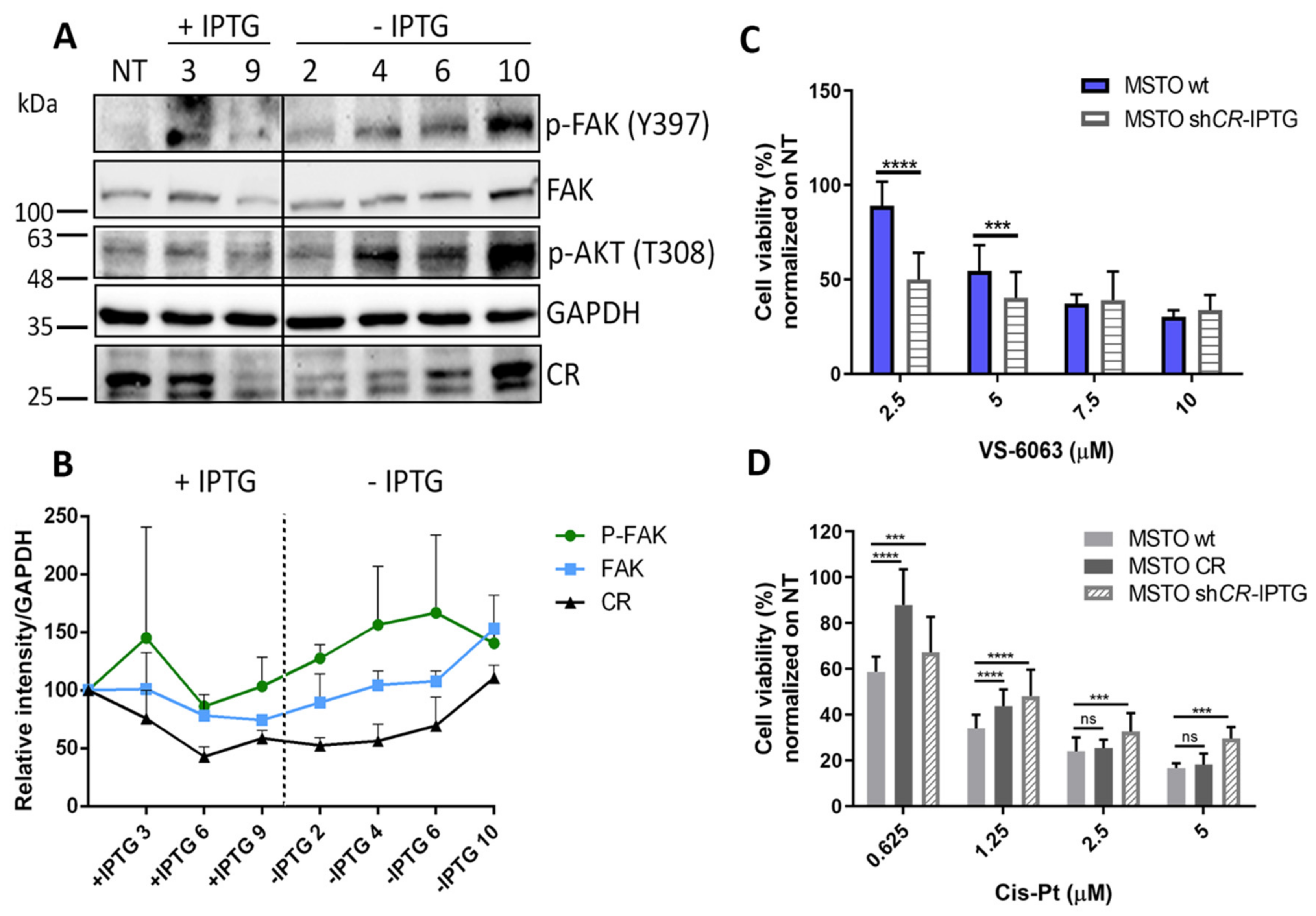 Ijms 20 05391 g003 Ijms 20 05391 g003