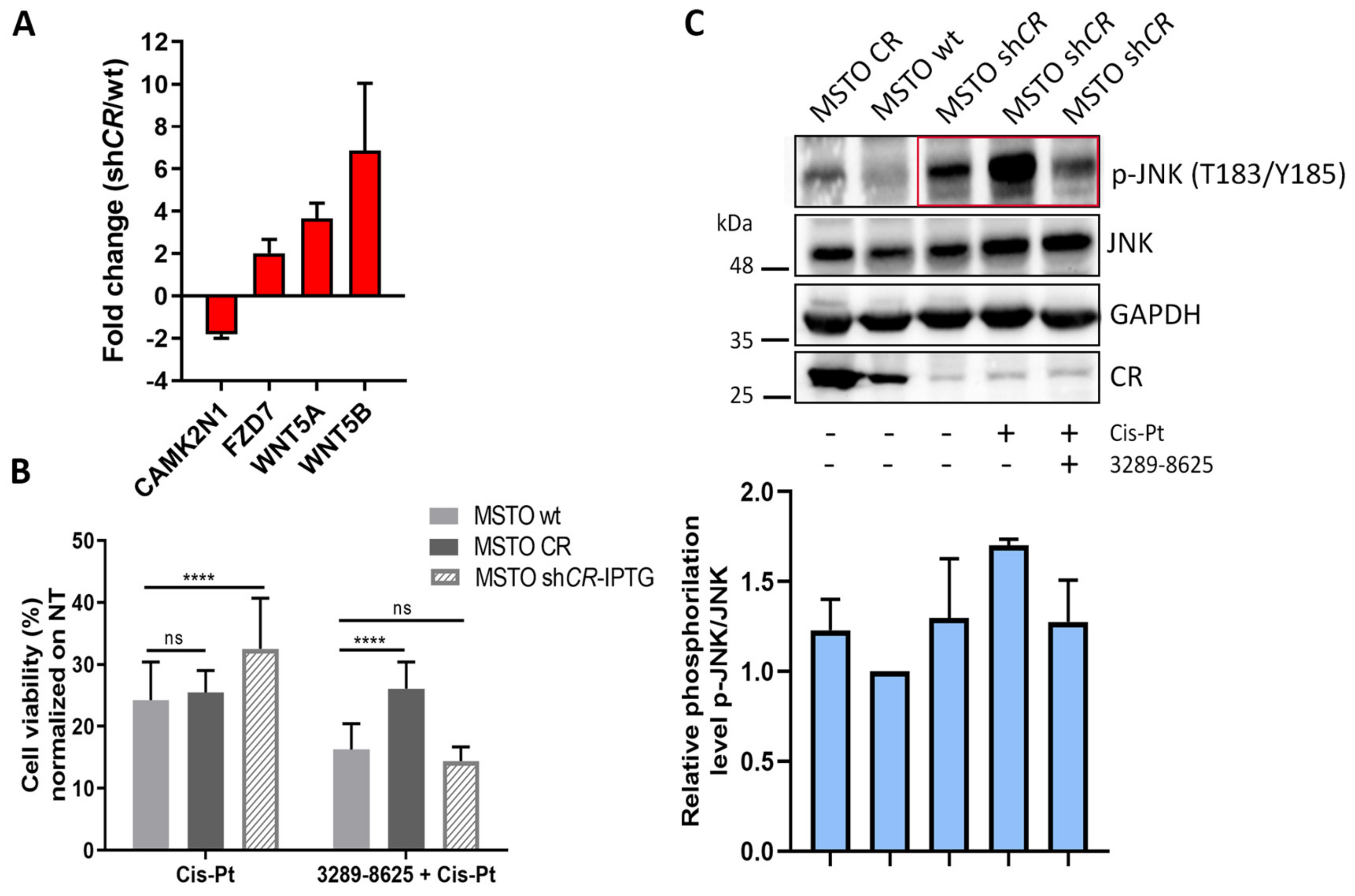 Ijms 20 05391 g004 Ijms 20 05391 g004