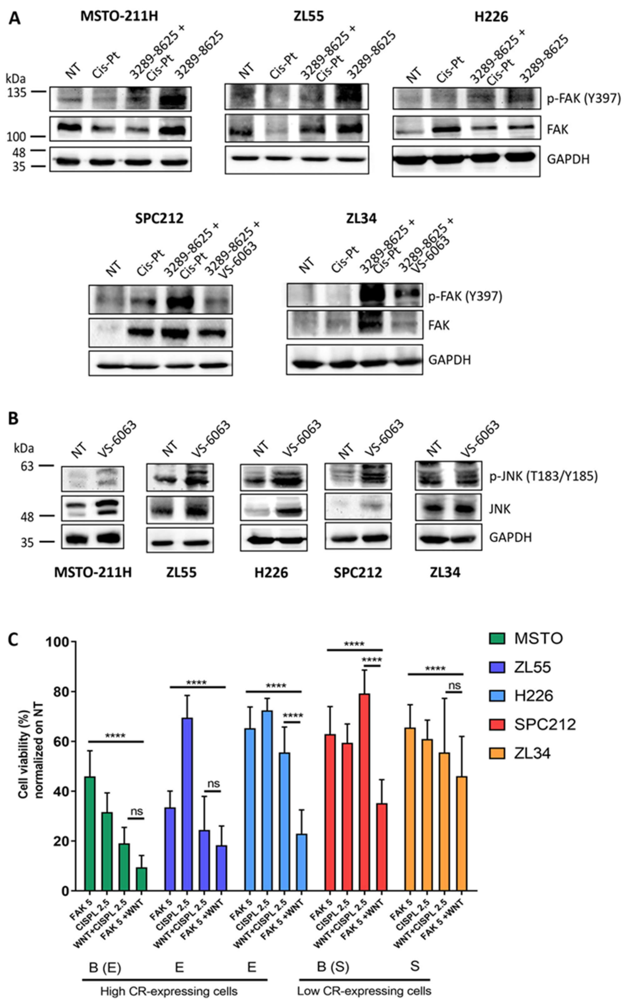 Ijms 20 05391 g005 Ijms 20 05391 g005