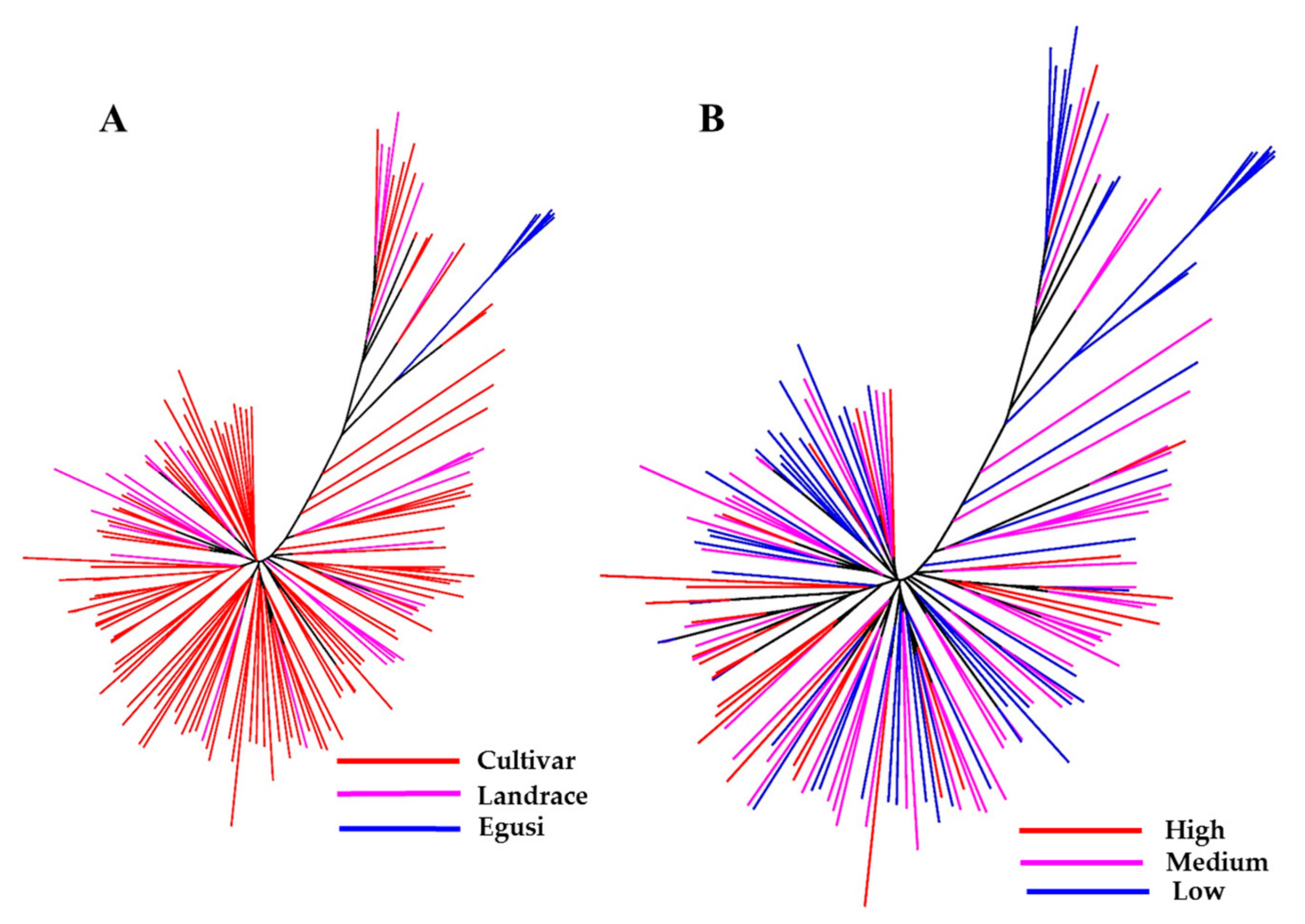 Ijms 20 05392 g003 Ijms 20 05392 g003