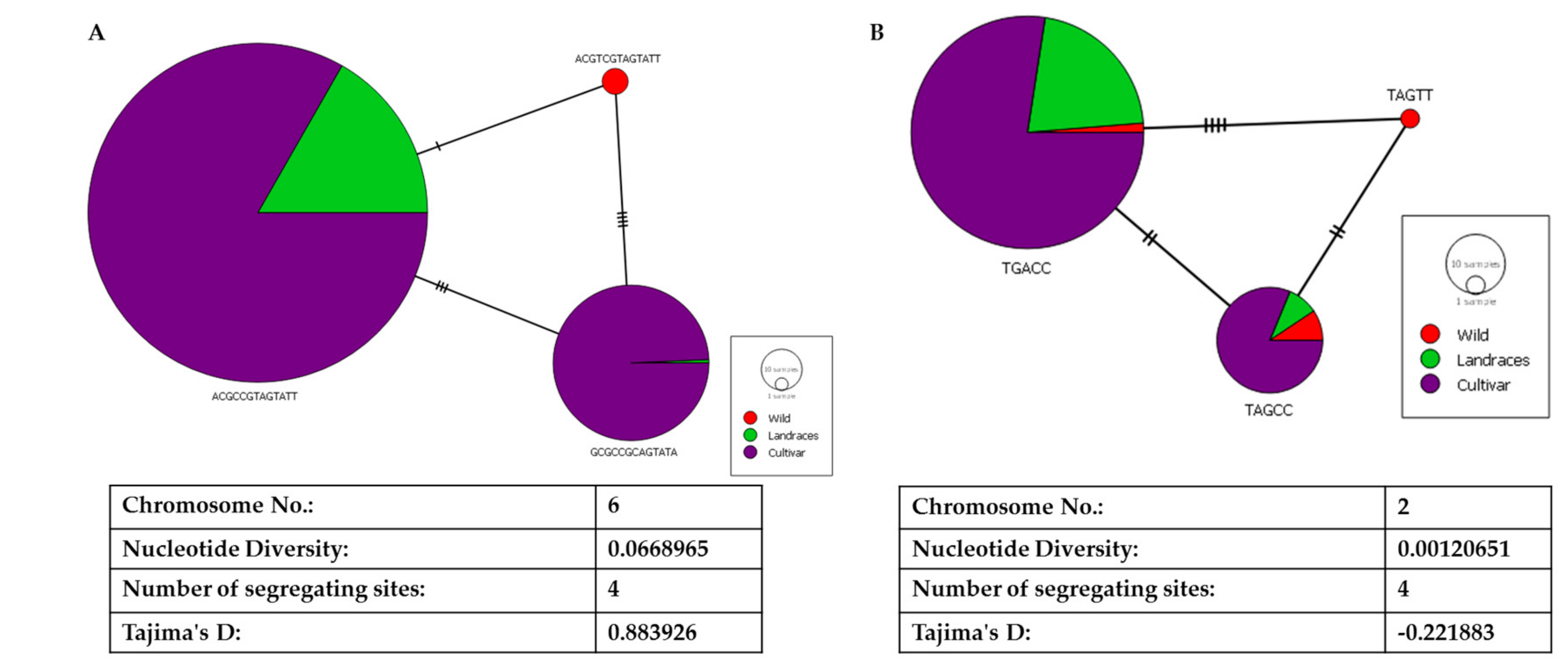 Ijms 20 05392 g007 Ijms 20 05392 g007
