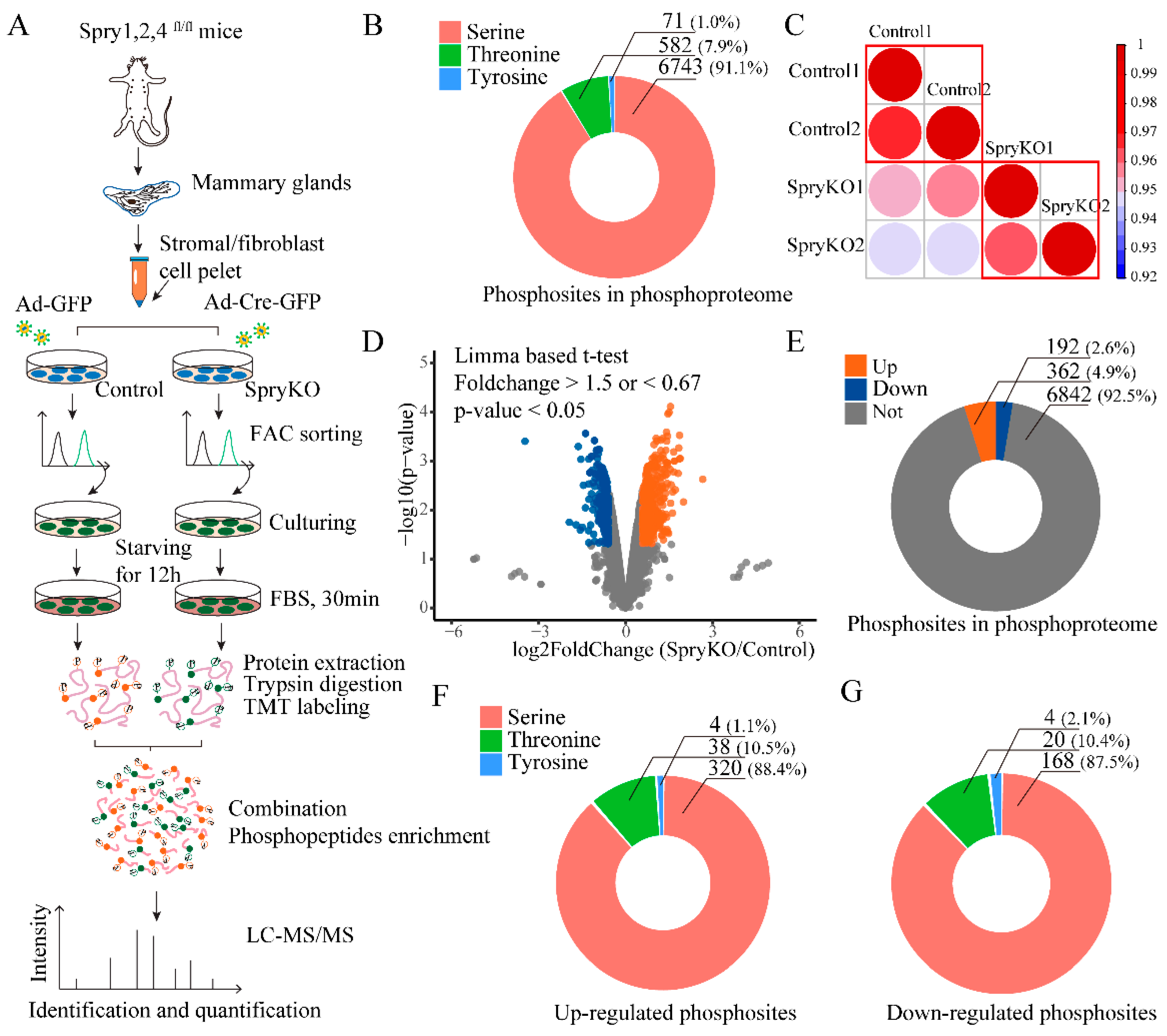 Ijms 20 05400 g001 Ijms 20 05400 g001