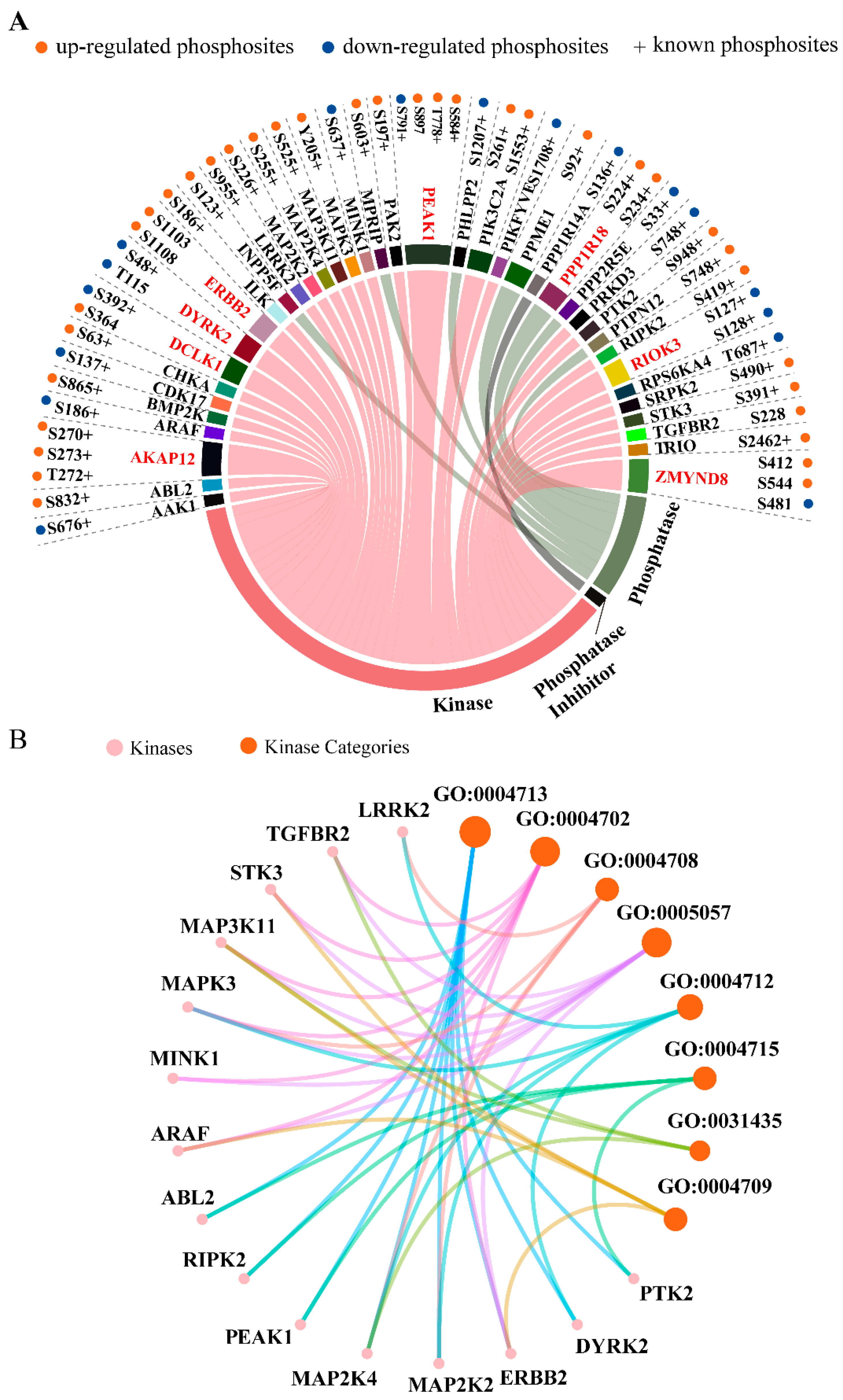 Ijms 20 05400 g003 Ijms 20 05400 g003