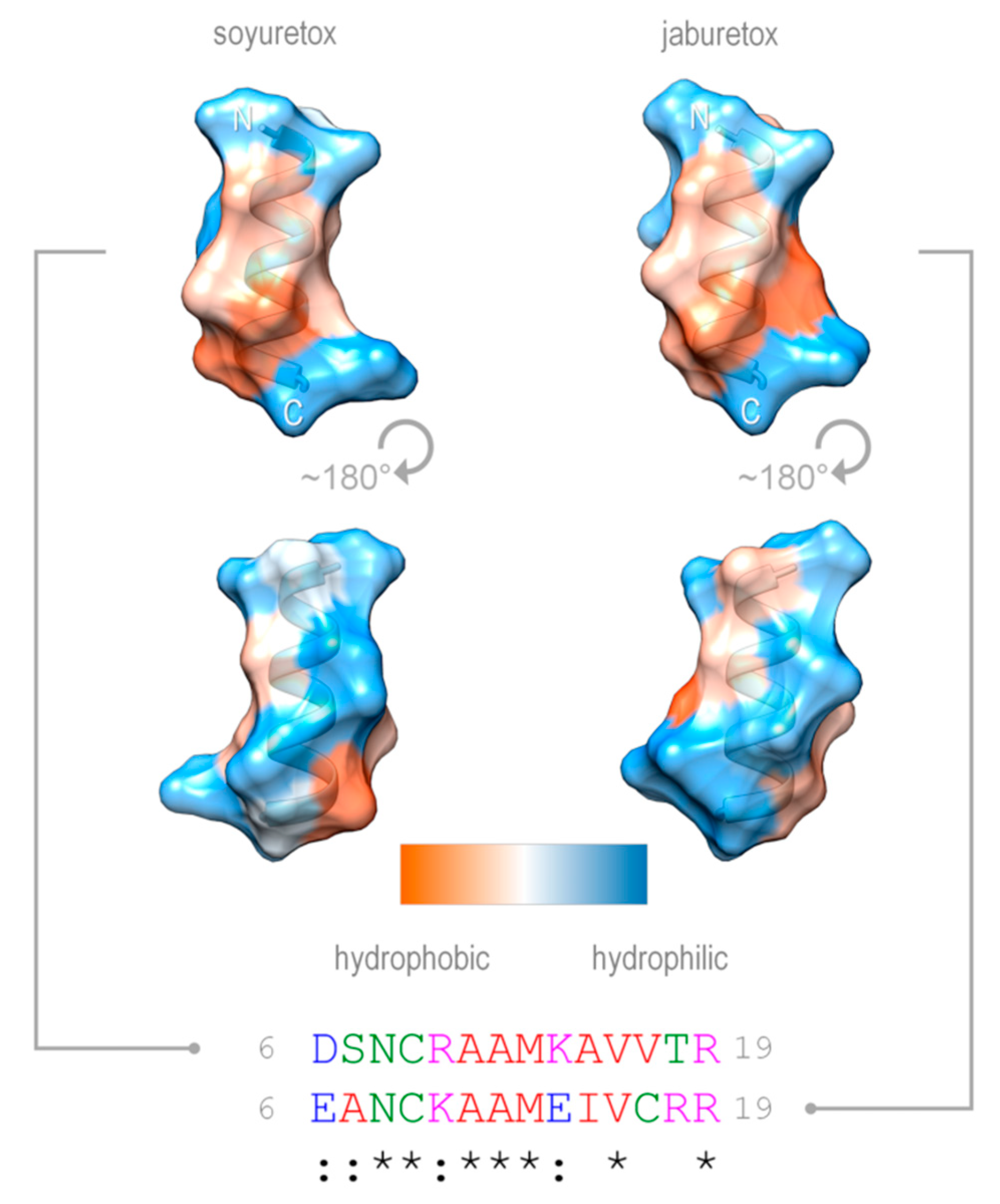 Ijms 20 05401 g007 Ijms 20 05401 g007