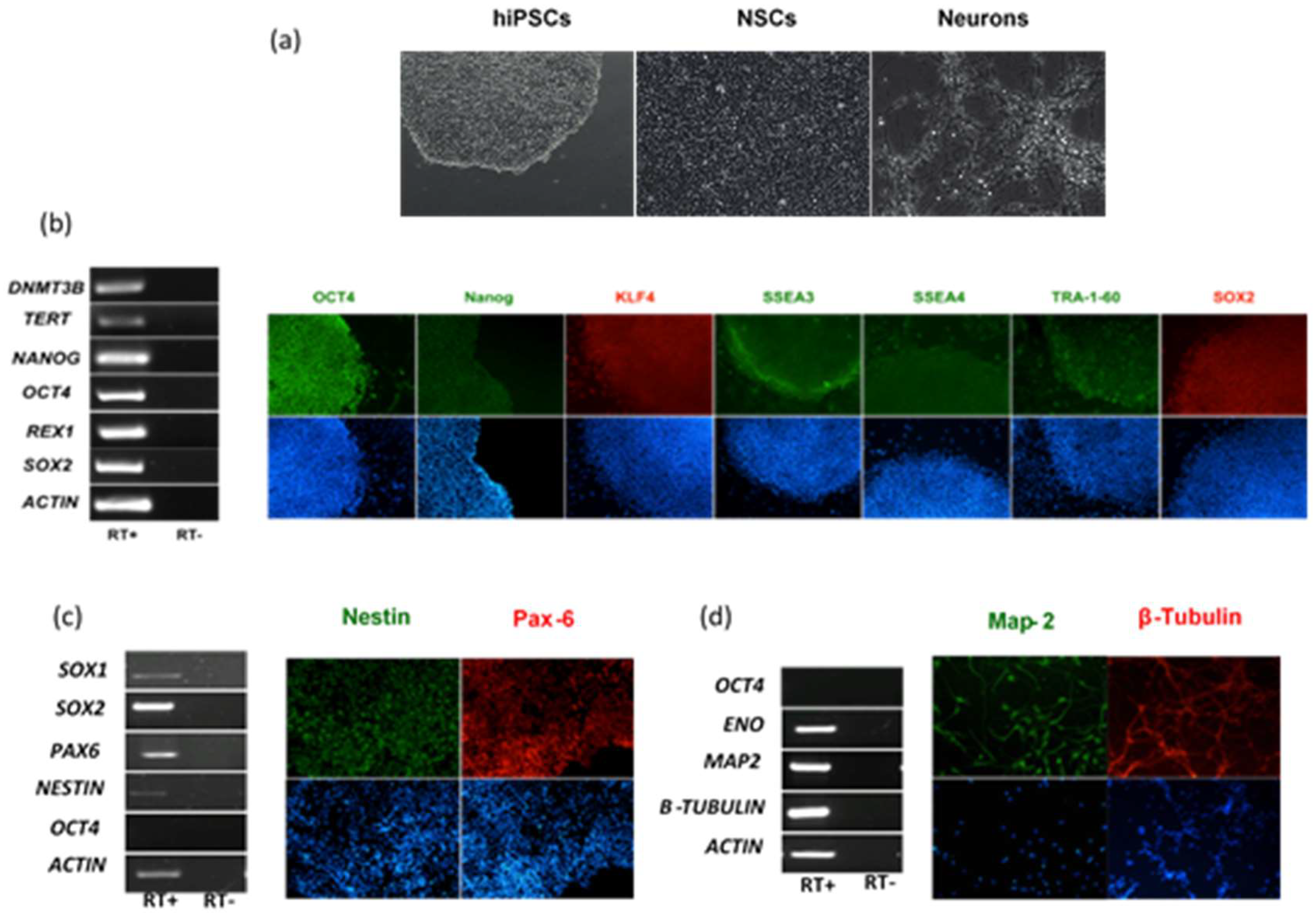 Ijms 20 05404 g001 Ijms 20 05404 g001