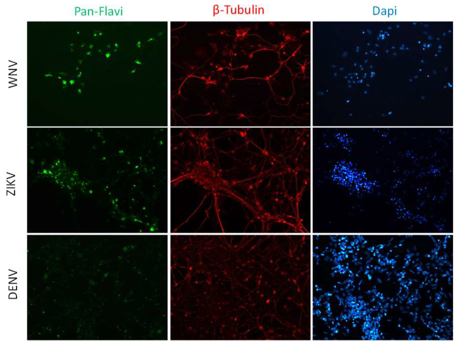 Ijms 20 05404 g004 Ijms 20 05404 g004