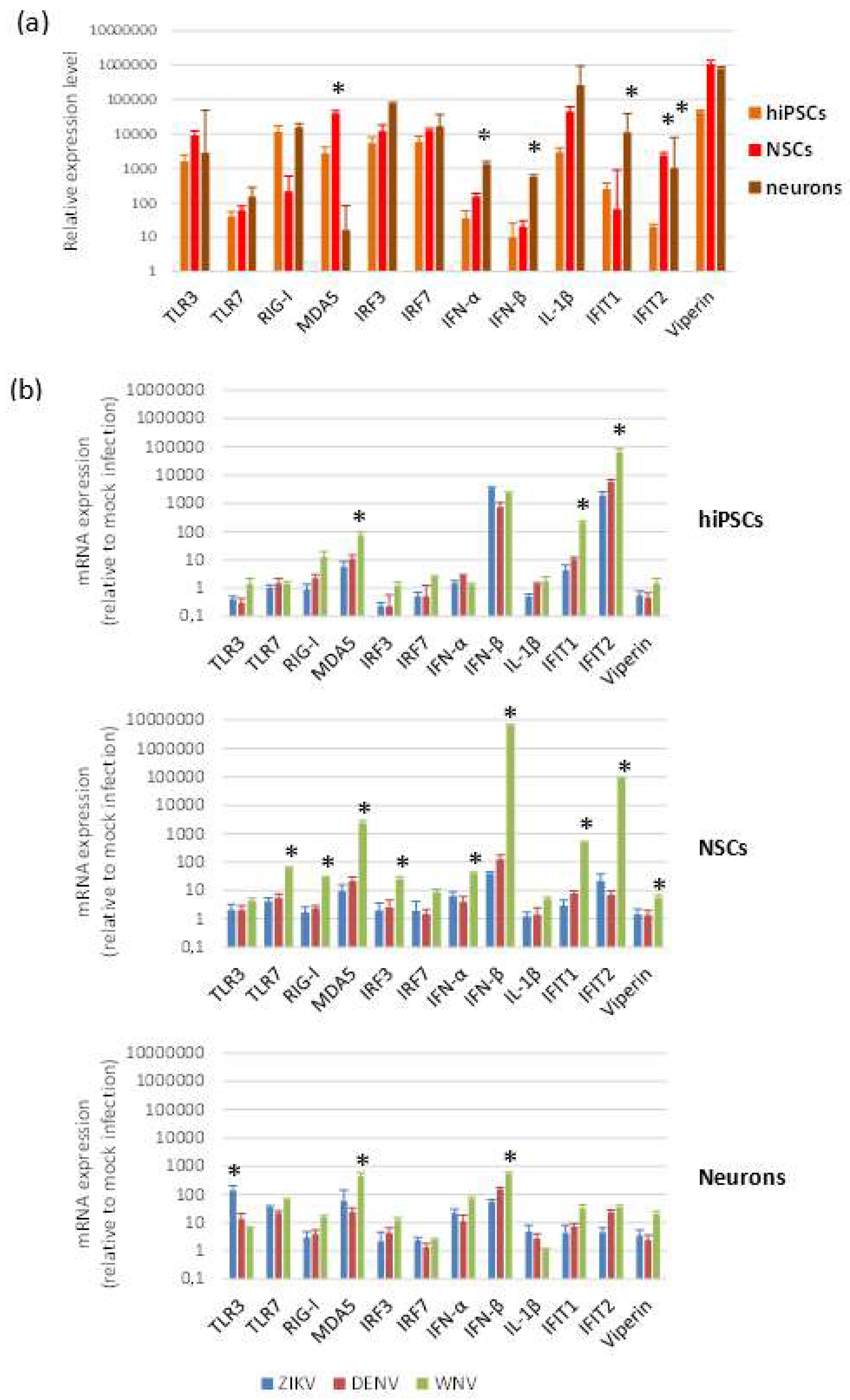 Ijms 20 05404 g007 Ijms 20 05404 g007