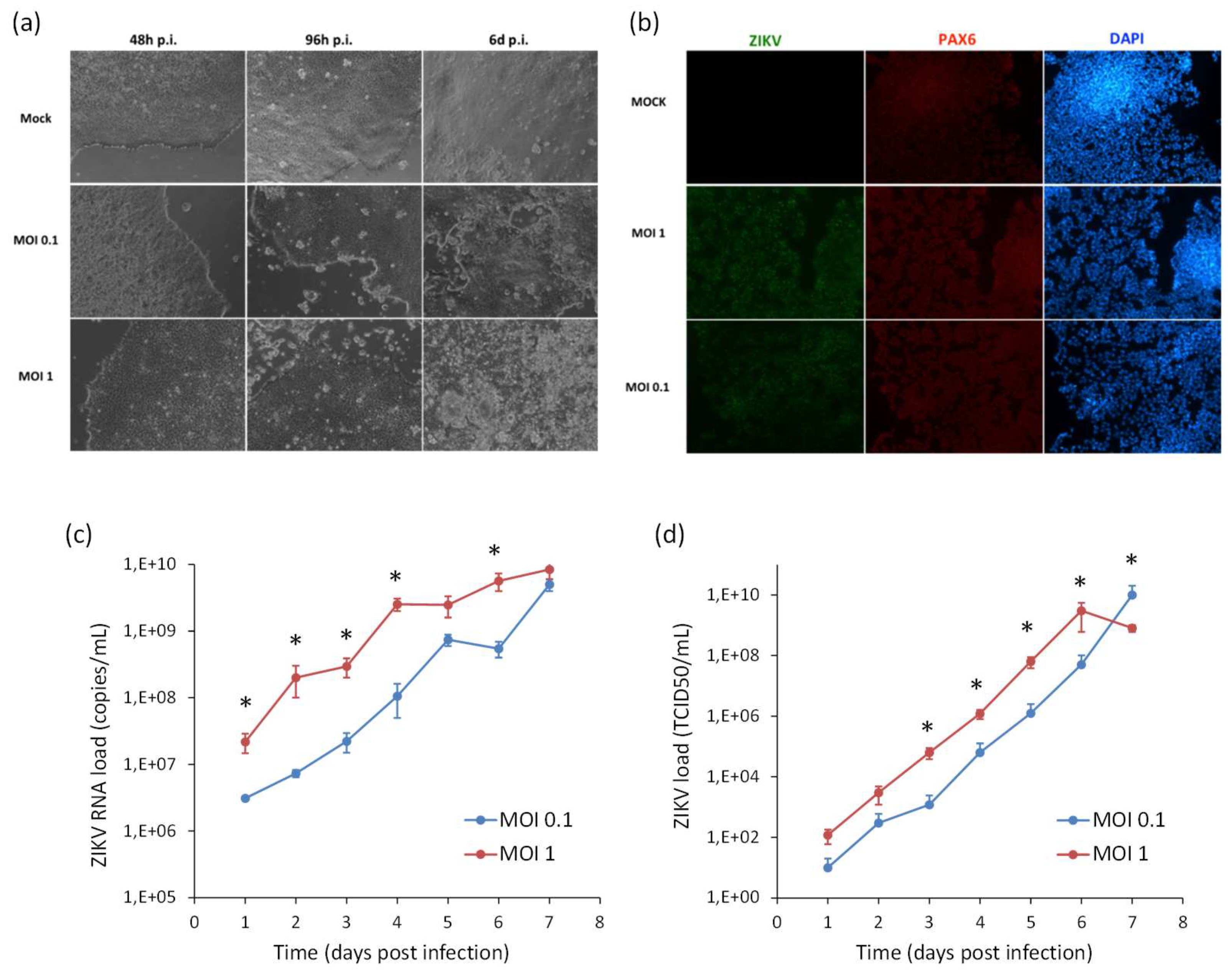 Ijms 20 05404 g008 Ijms 20 05404 g008