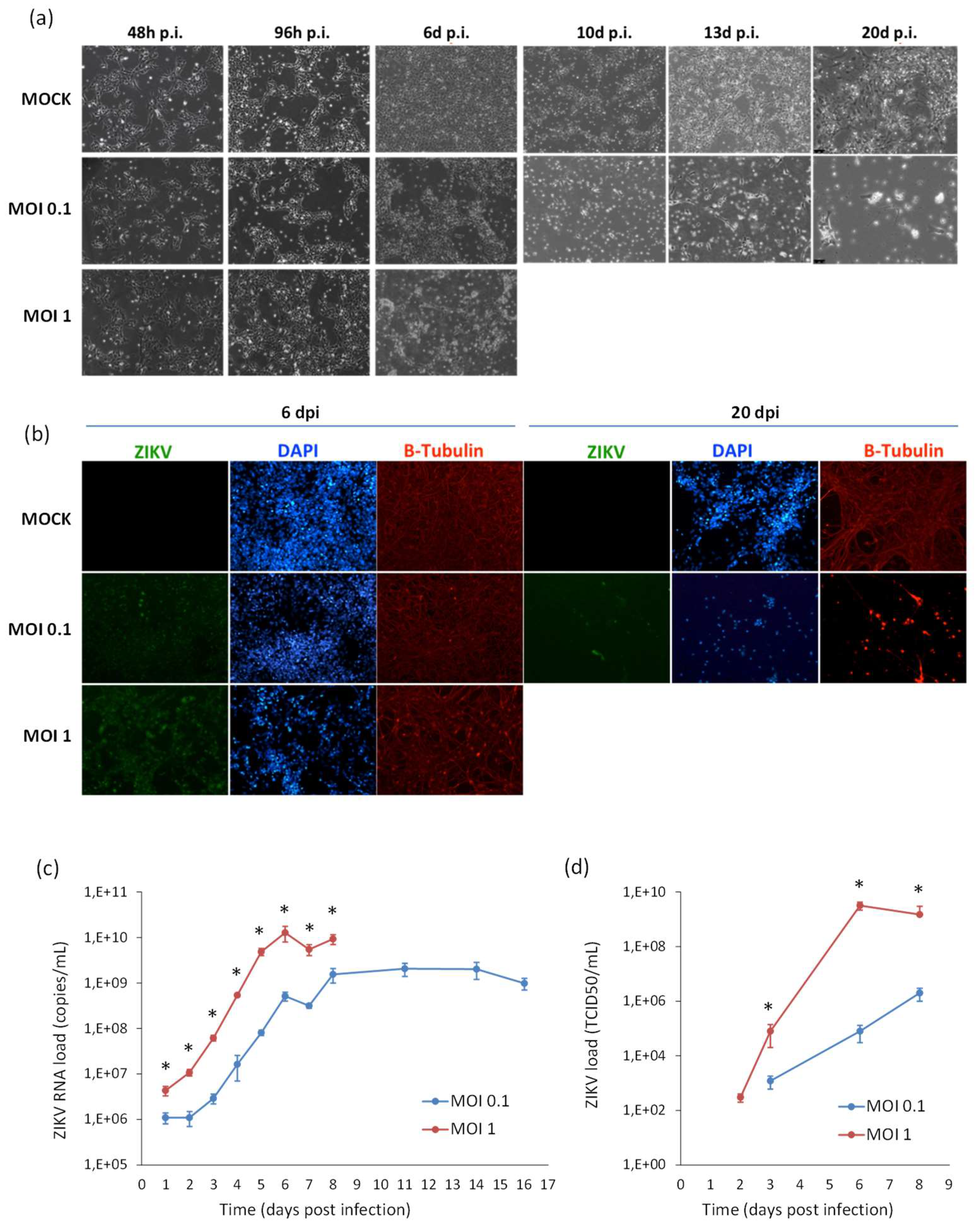 Ijms 20 05404 g009 Ijms 20 05404 g009