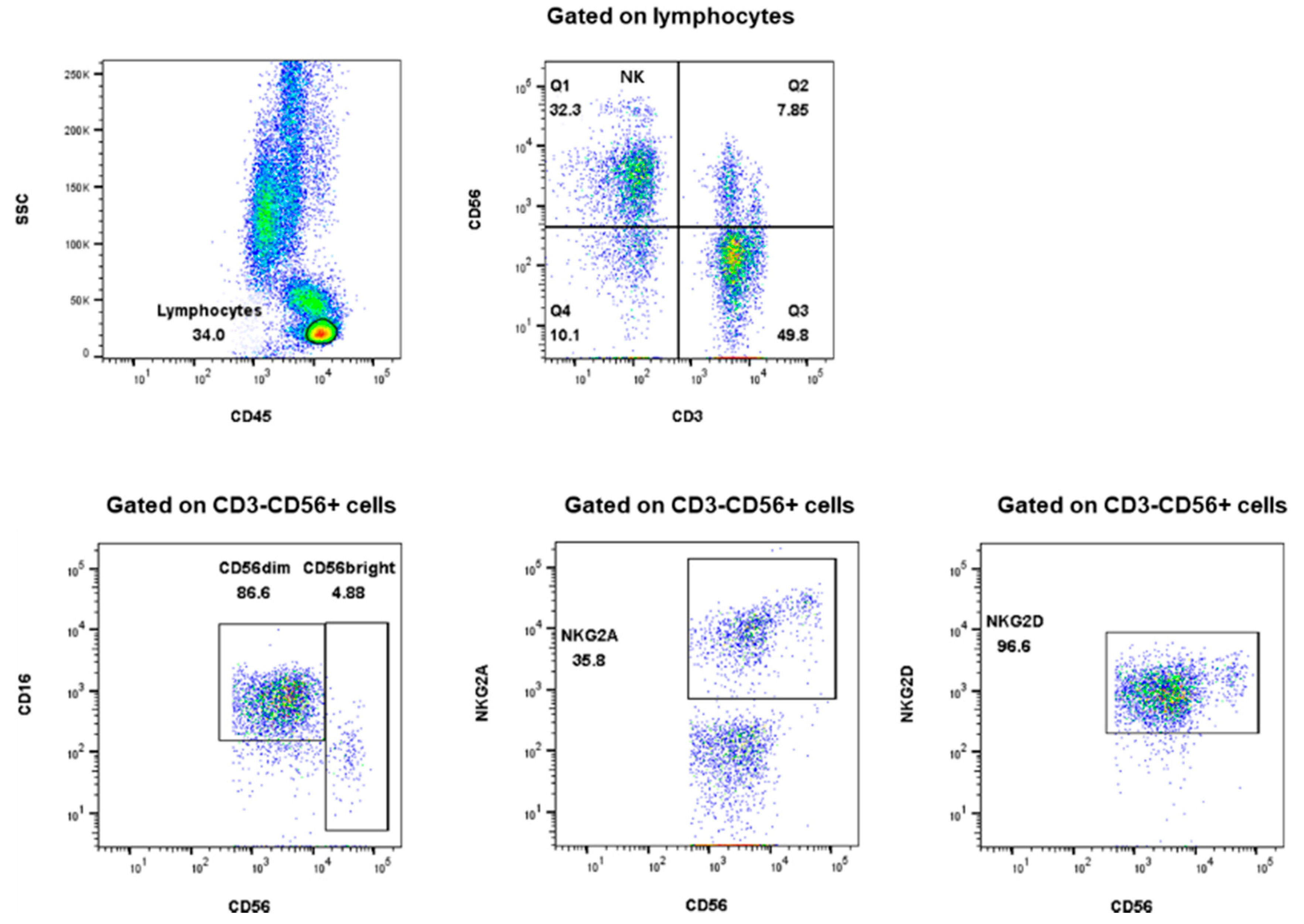 Ijms 20 05413 g002 Ijms 20 05413 g002