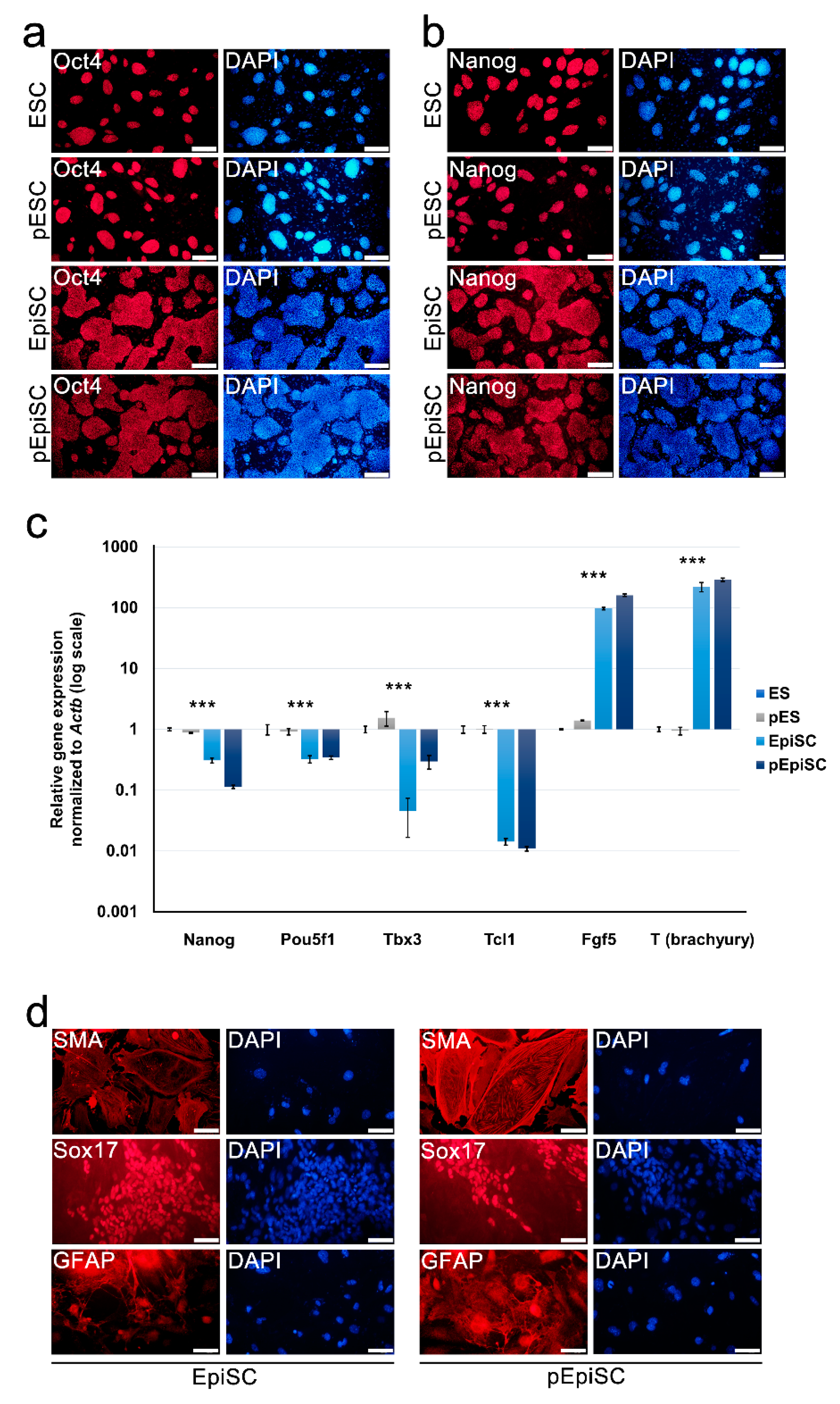 Ijms 20 05428 g002 Ijms 20 05428 g002