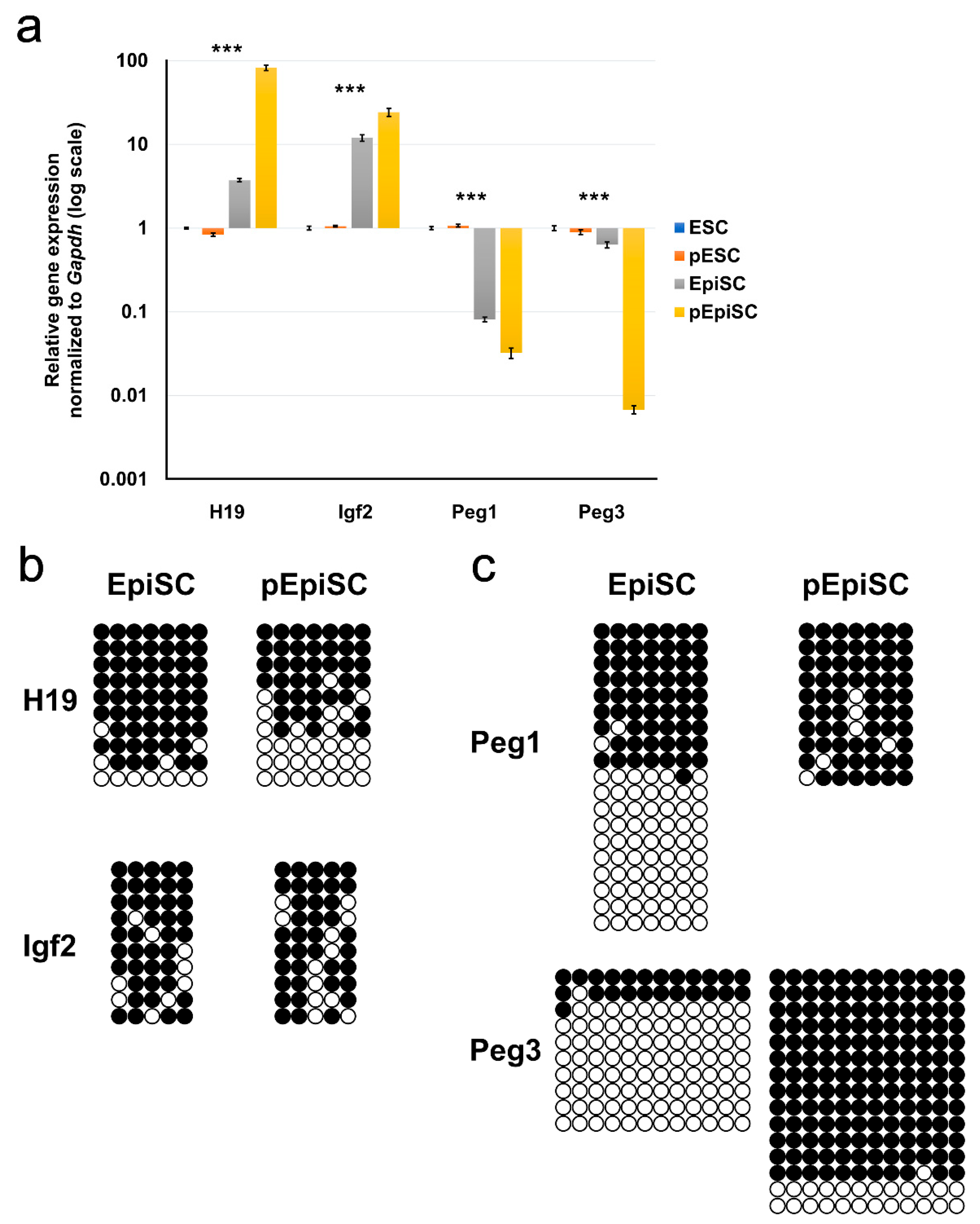 Ijms 20 05428 g003 Ijms 20 05428 g003