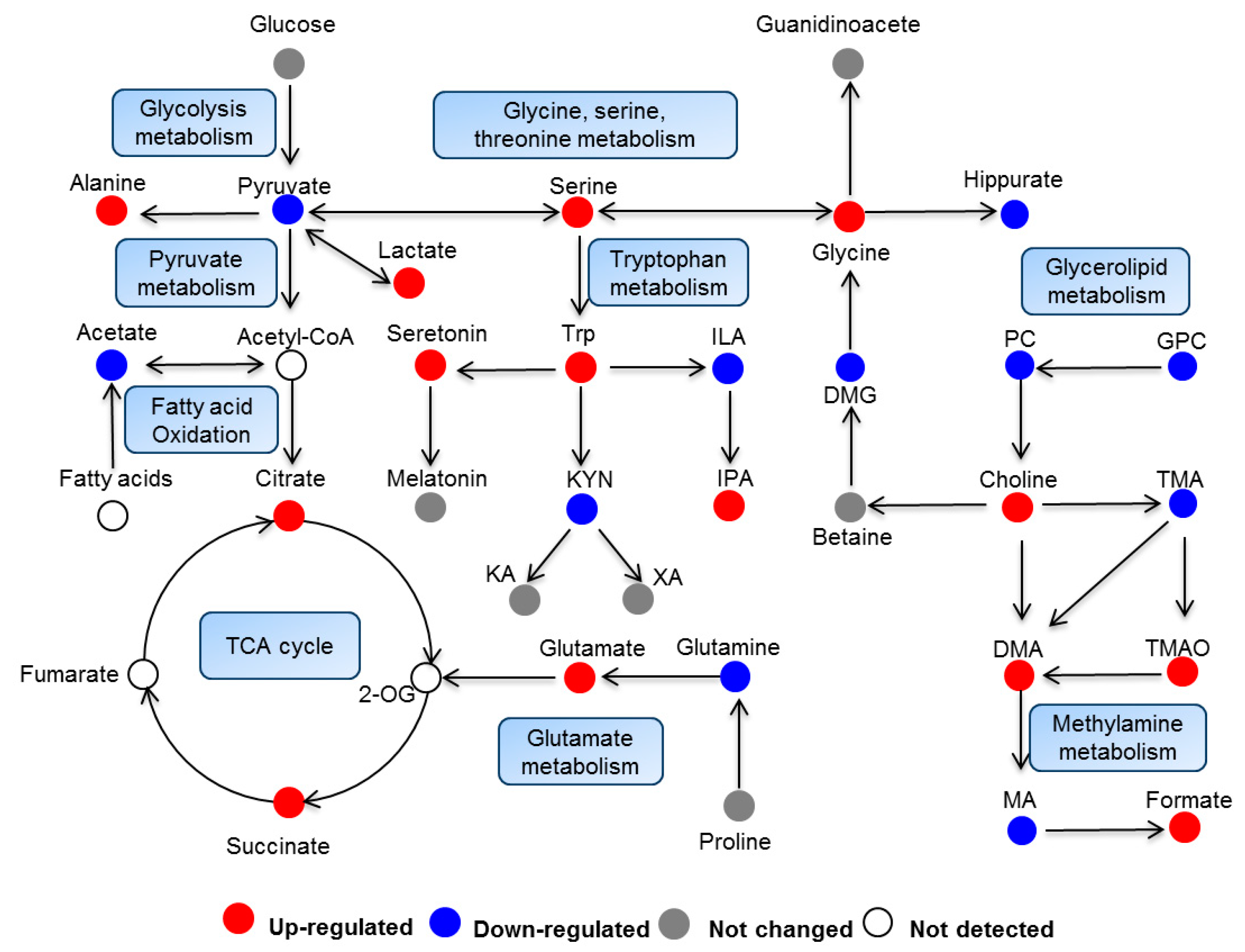 Ijms 20 05457 g005 Ijms 20 05457 g005