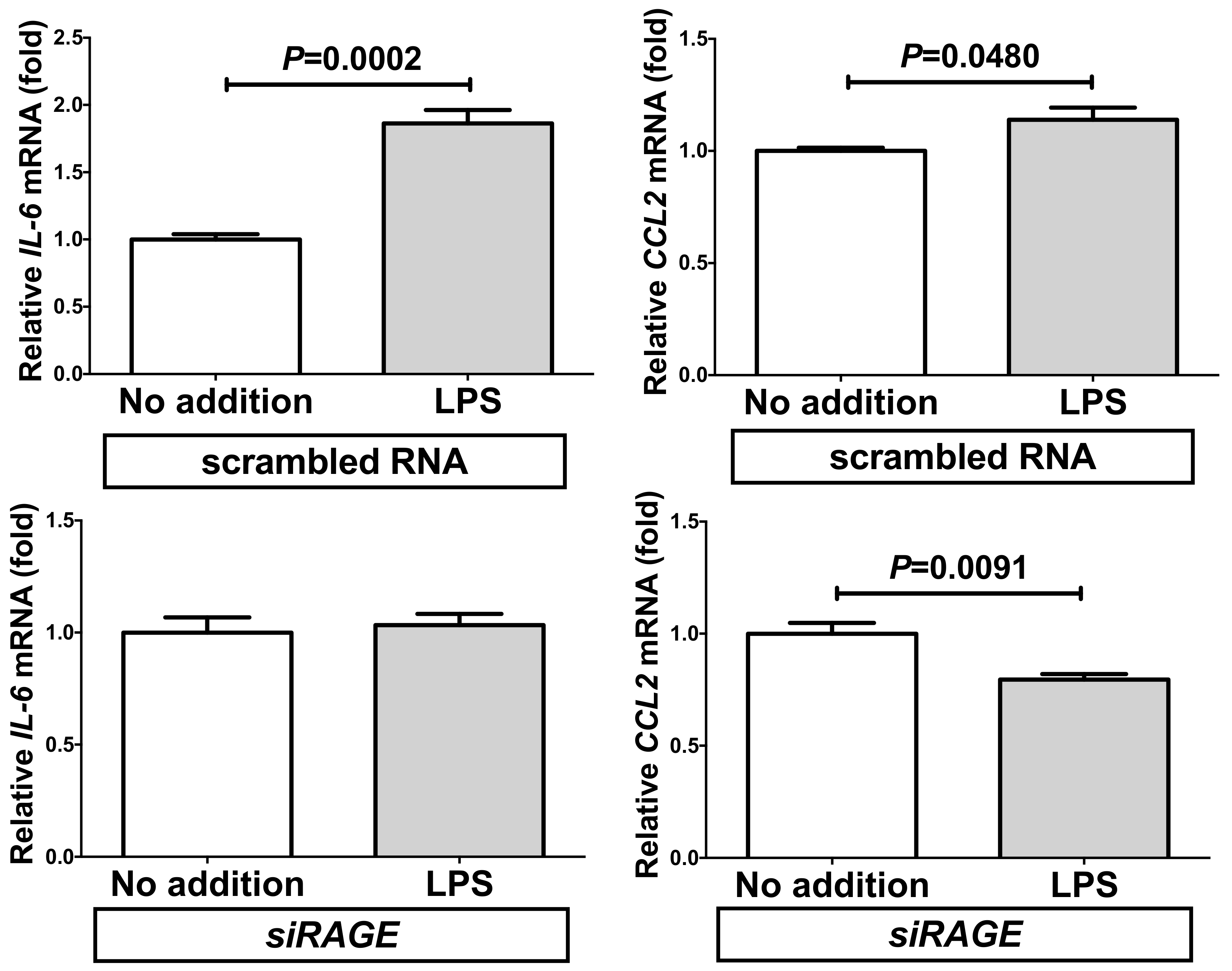 Ijms 20 05462 g008 Ijms 20 05462 g008