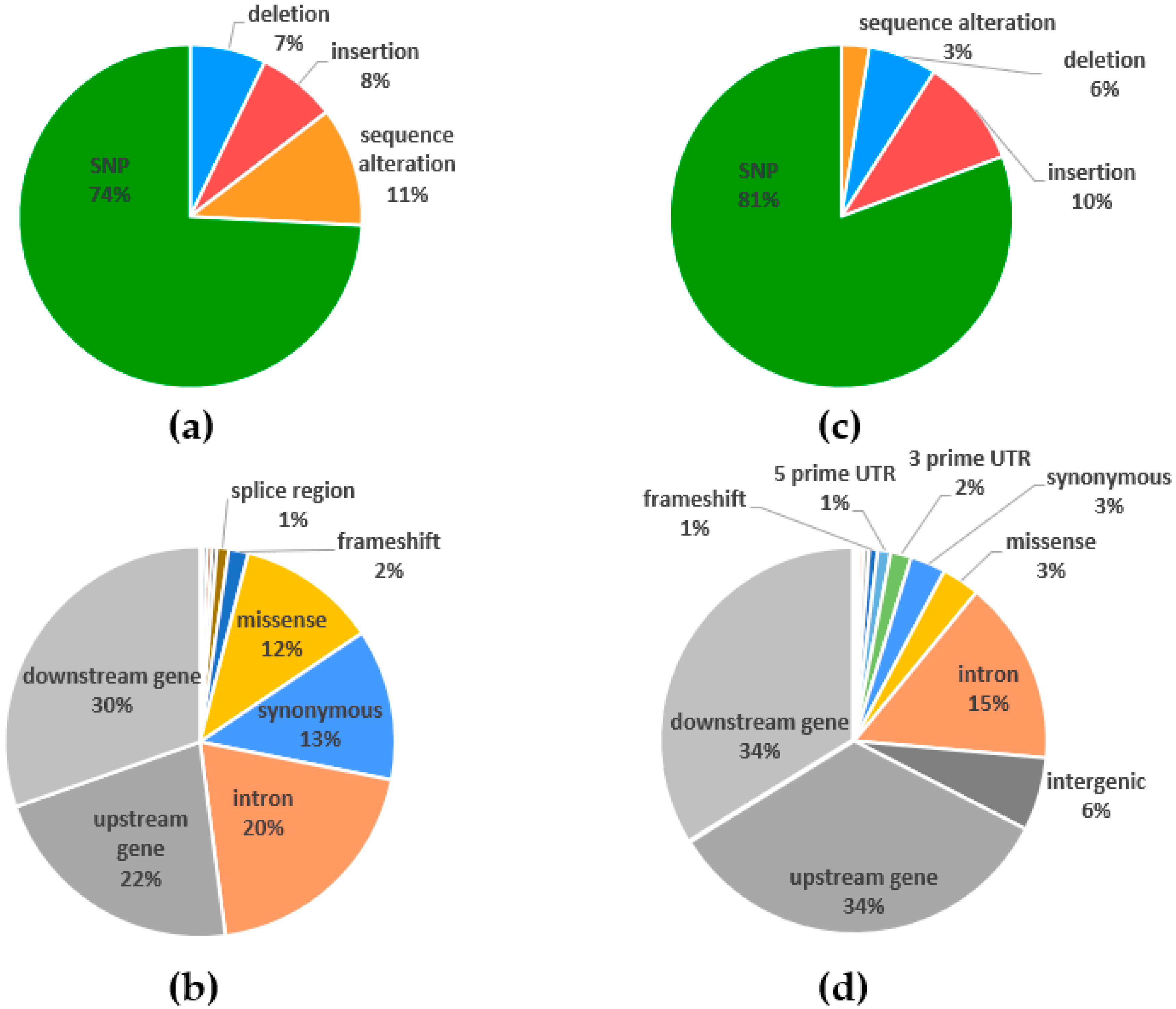 Ijms 20 05470 g009 Ijms 20 05470 g009