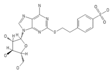 Ijms 20 05475 i004 Ijms 20 05475 i004