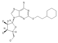 Ijms 20 05475 i006 Ijms 20 05475 i006