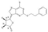 Ijms 20 05475 i007 Ijms 20 05475 i007