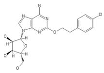 Ijms 20 05475 i008 Ijms 20 05475 i008