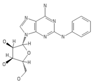 Ijms 20 05475 i009 Ijms 20 05475 i009