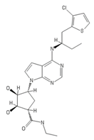 Ijms 20 05475 i010 Ijms 20 05475 i010