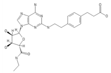 Ijms 20 05475 i012 Ijms 20 05475 i012