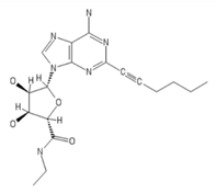 Ijms 20 05475 i013 Ijms 20 05475 i013