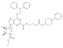 Ijms 20 05475 i014 Ijms 20 05475 i014